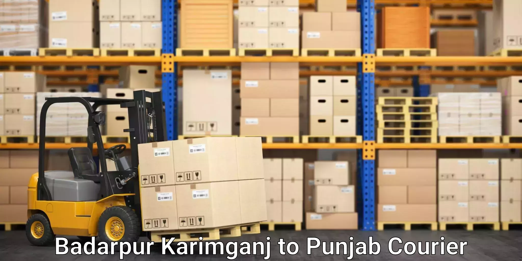 Custom shipping services Badarpur Karimganj to Punjab