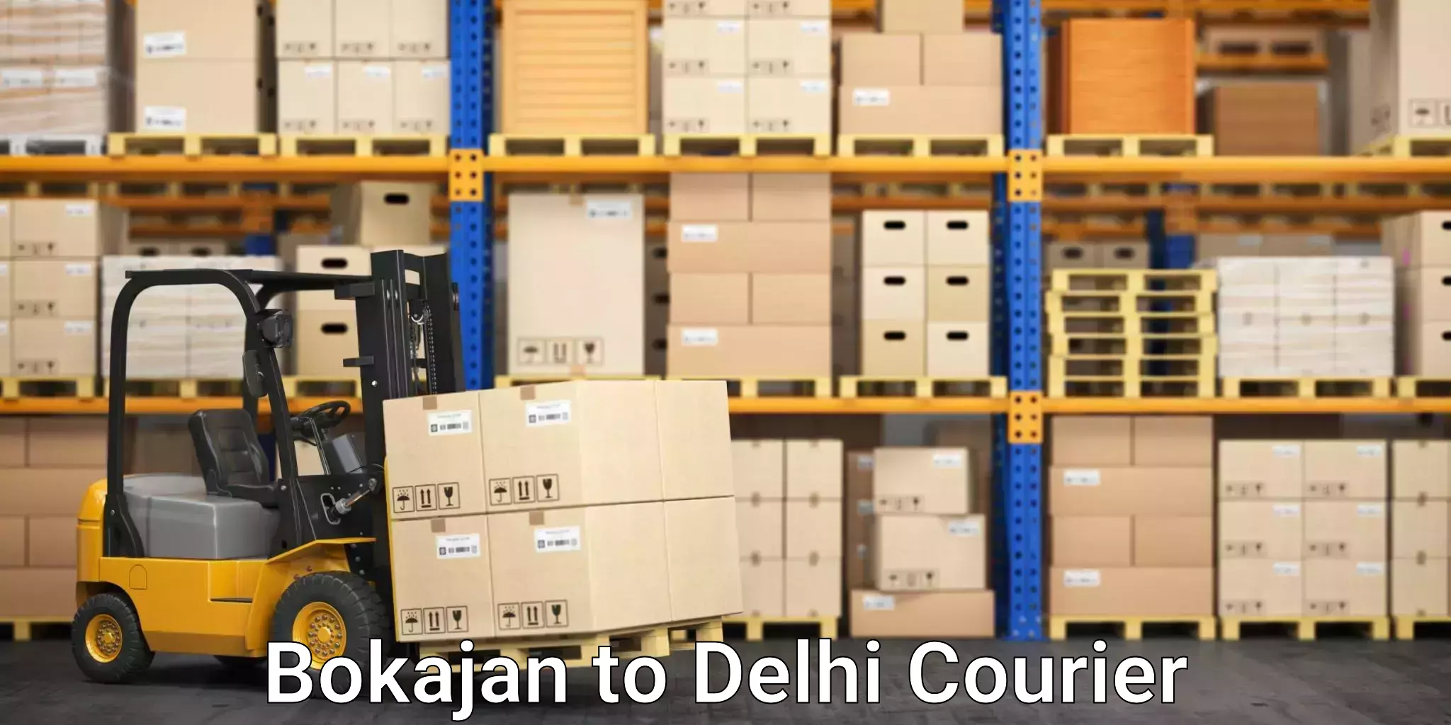 Courier service booking Bokajan to Delhi