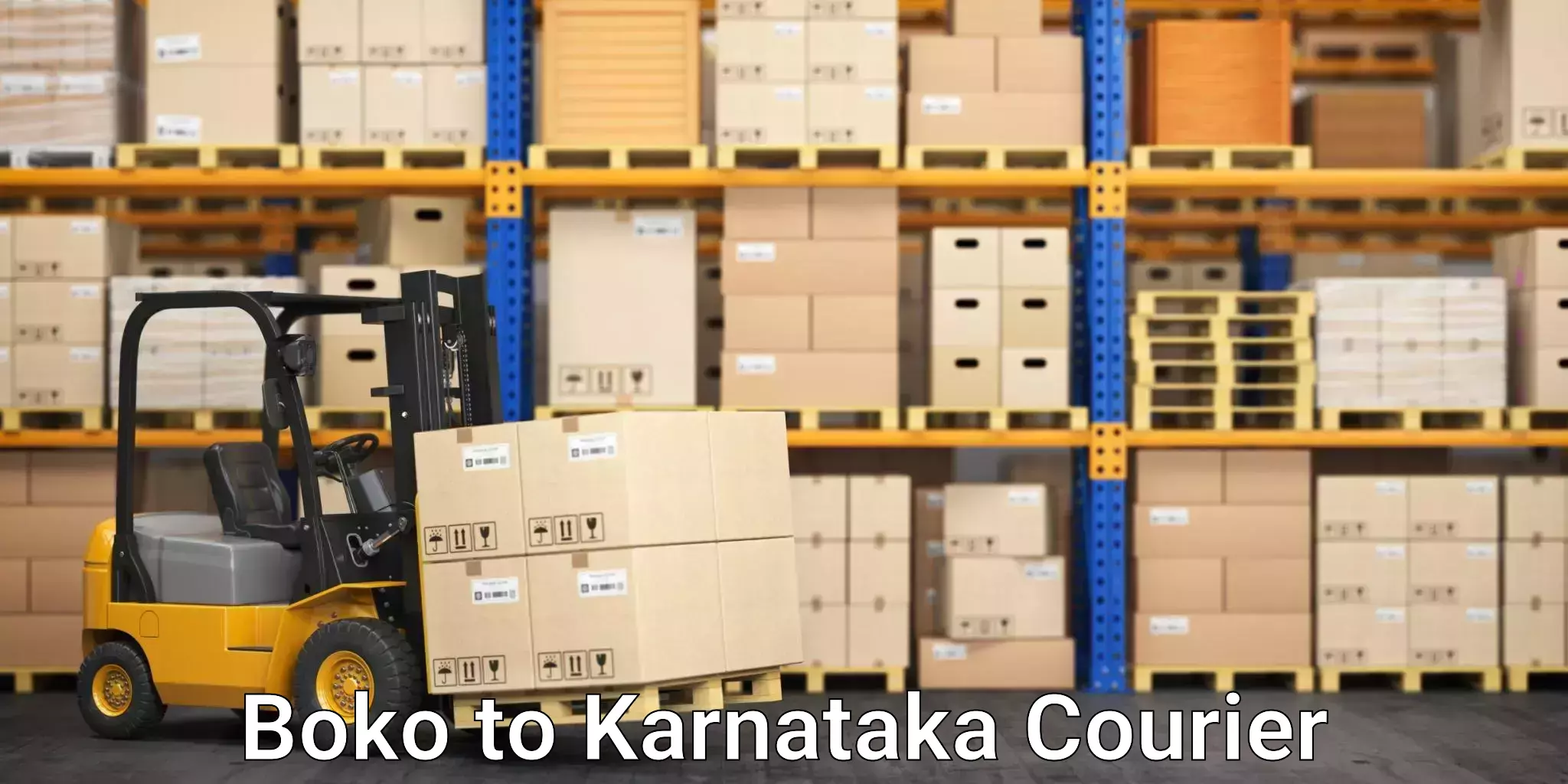 Global courier networks Boko to Dakshina Kannada