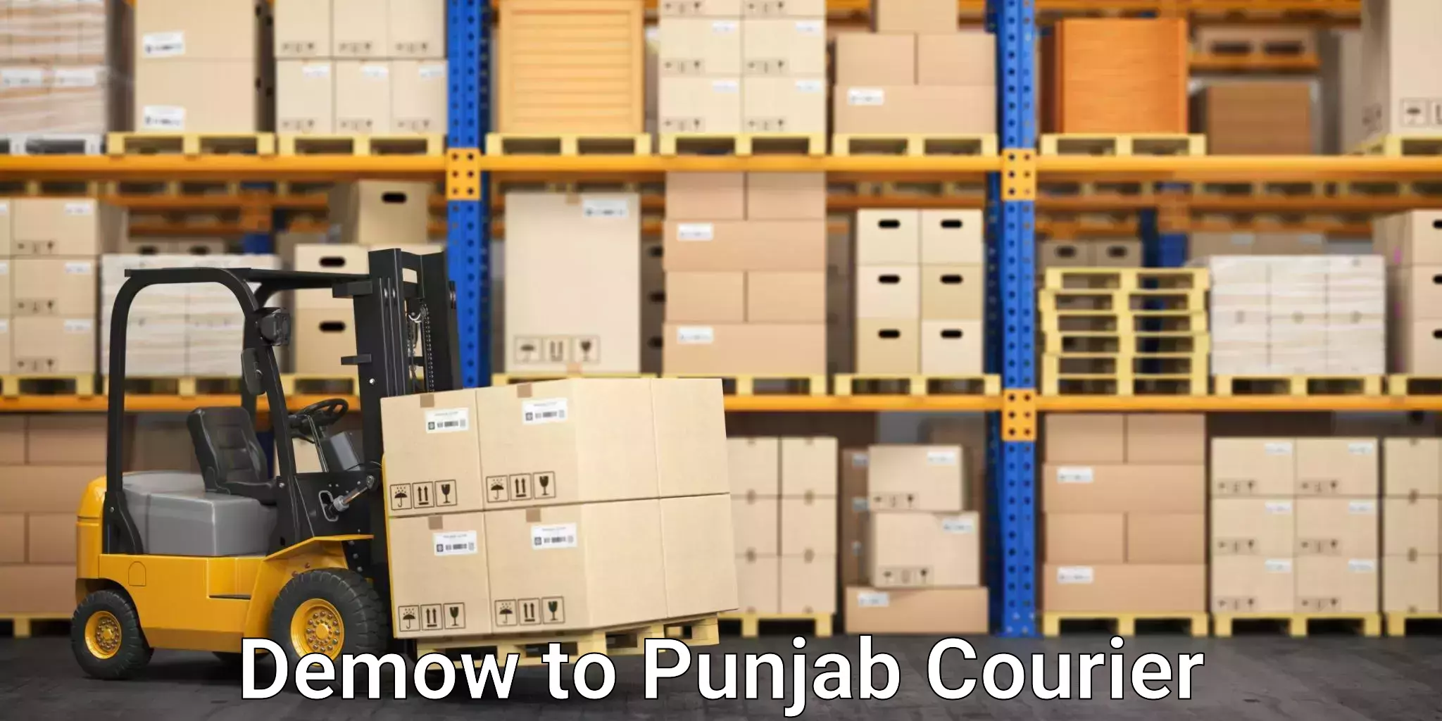 Efficient parcel service Demow to Punjab