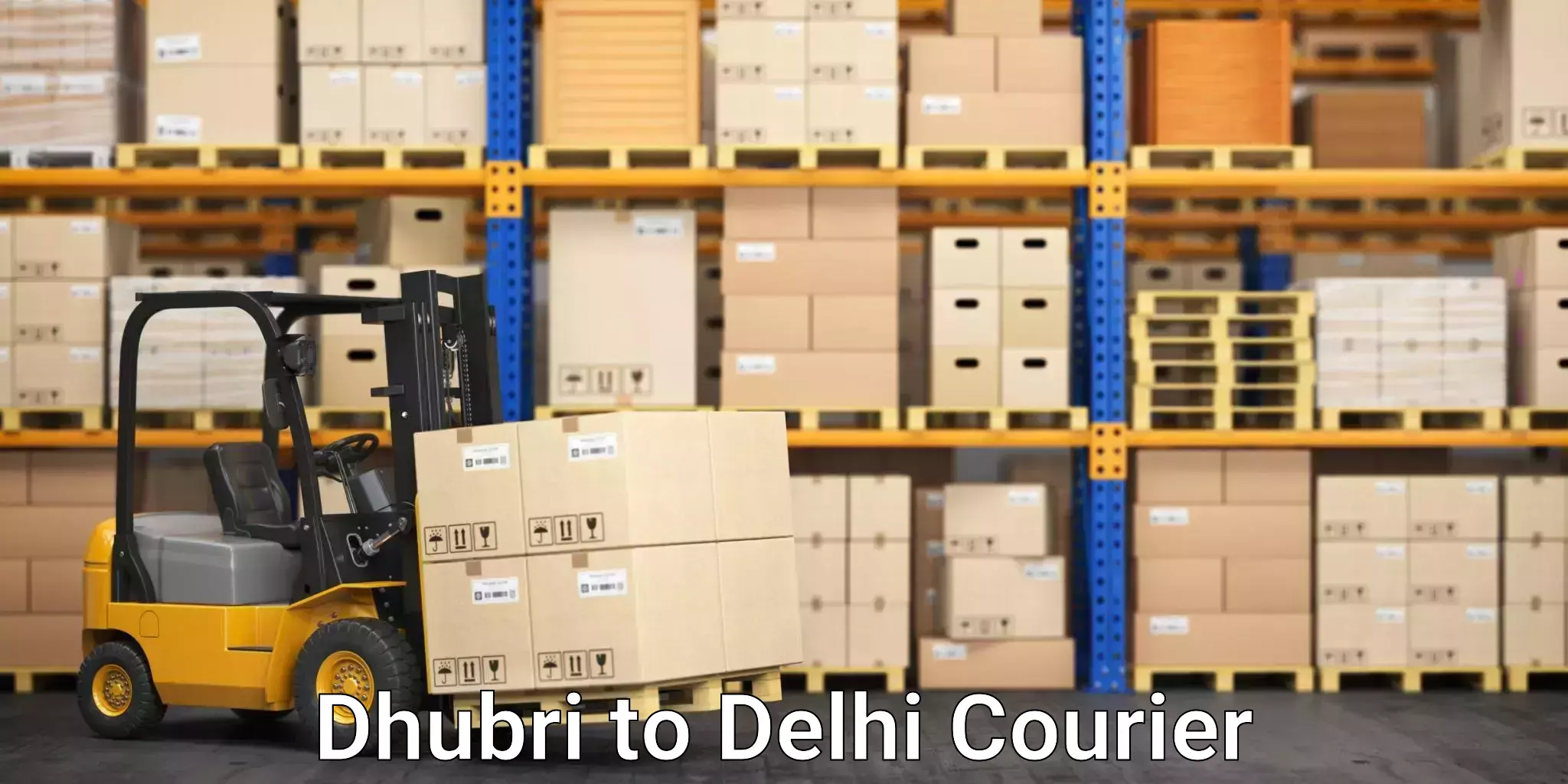 Nationwide shipping capabilities Dhubri to East Delhi