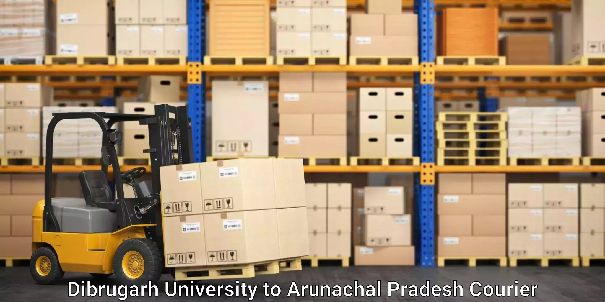 Advanced logistics management Dibrugarh University to Dibang Valley