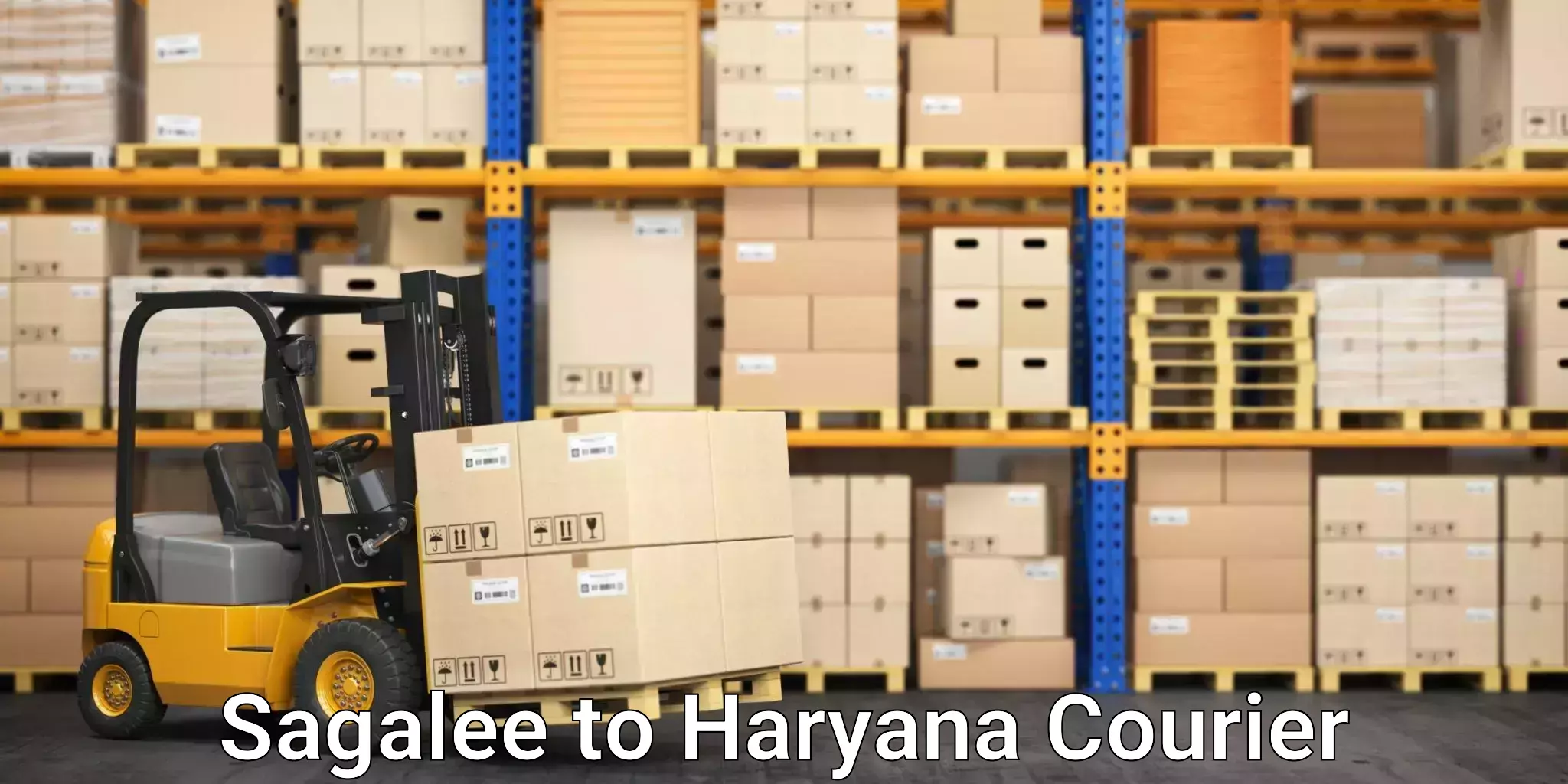Cross-border shipping Sagalee to Haryana