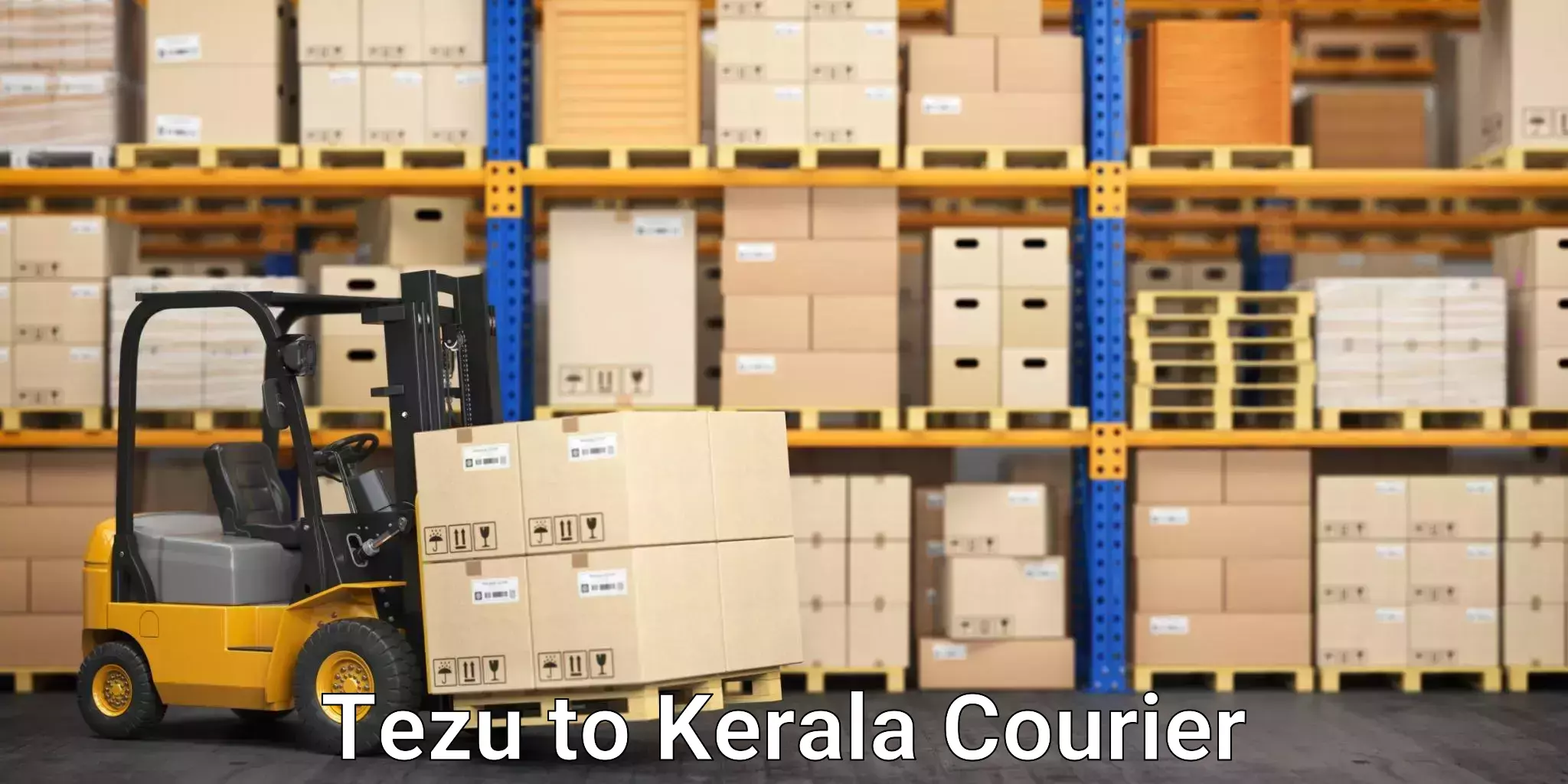 Nationwide shipping coverage Tezu to Thrissur