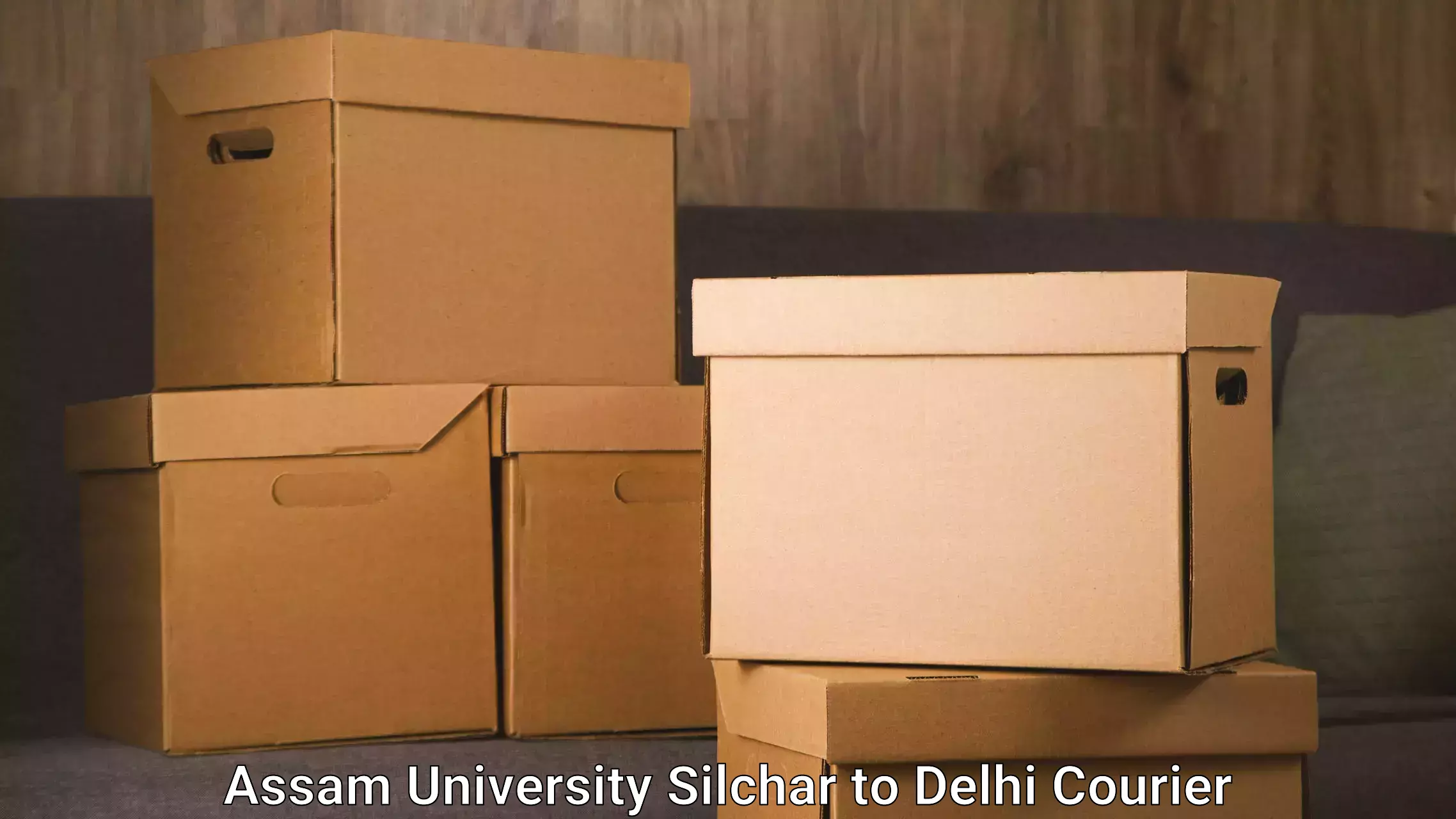Express delivery capabilities Assam University Silchar to East Delhi