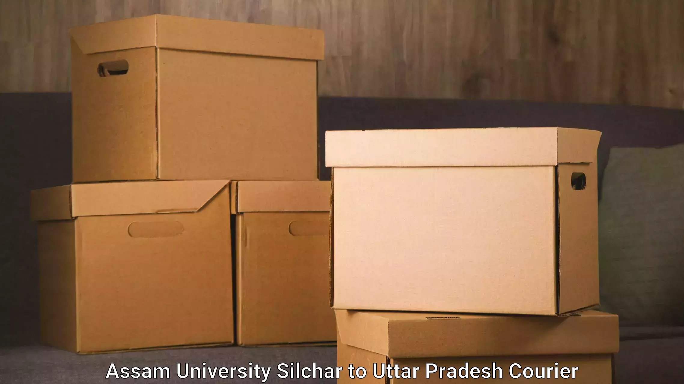 Express package services Assam University Silchar to Lucknow