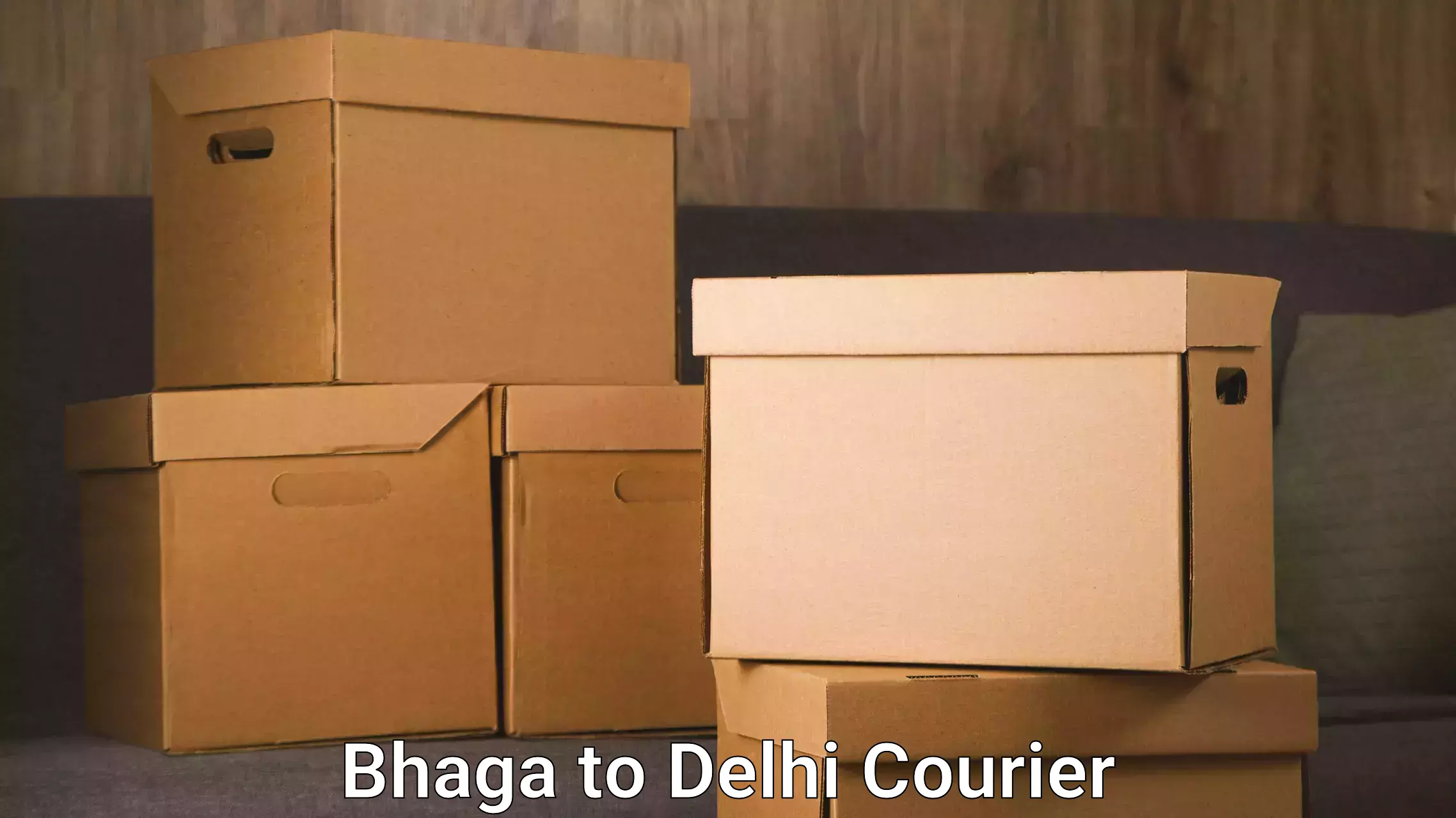 Next day courier Bhaga to Jhilmil