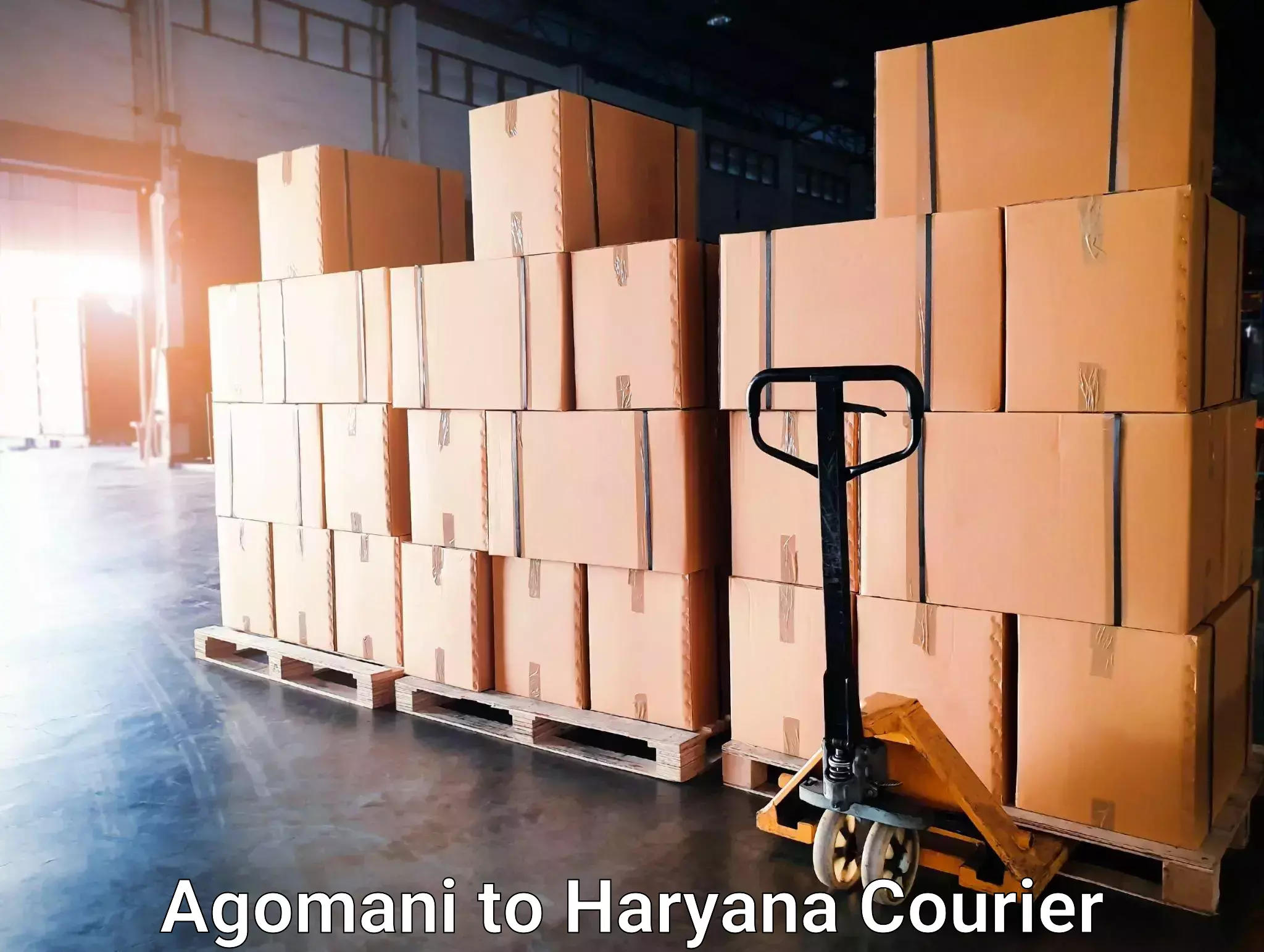 Cargo delivery service Agomani to NCR Haryana