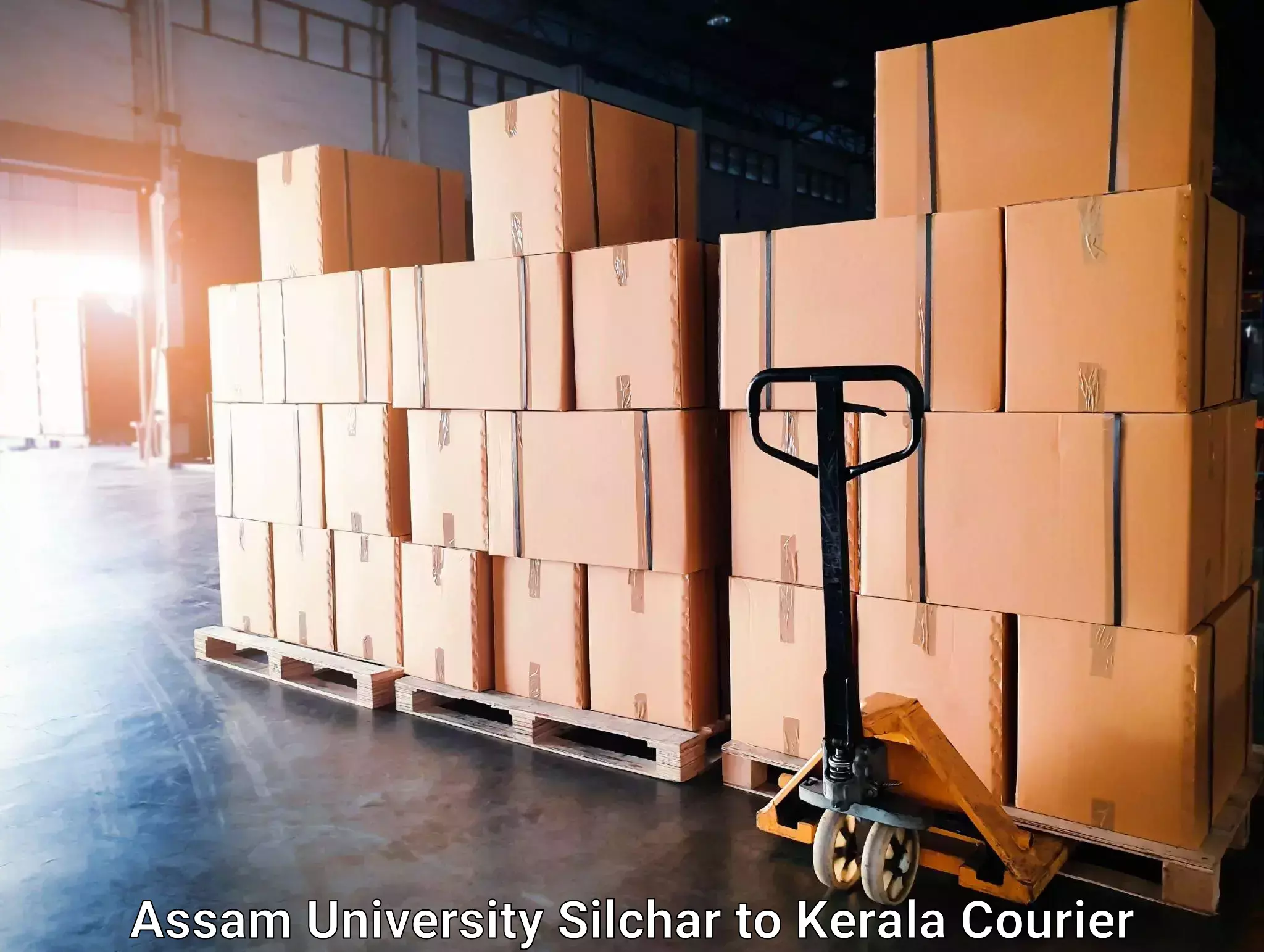 Package delivery network Assam University Silchar to Trivandrum