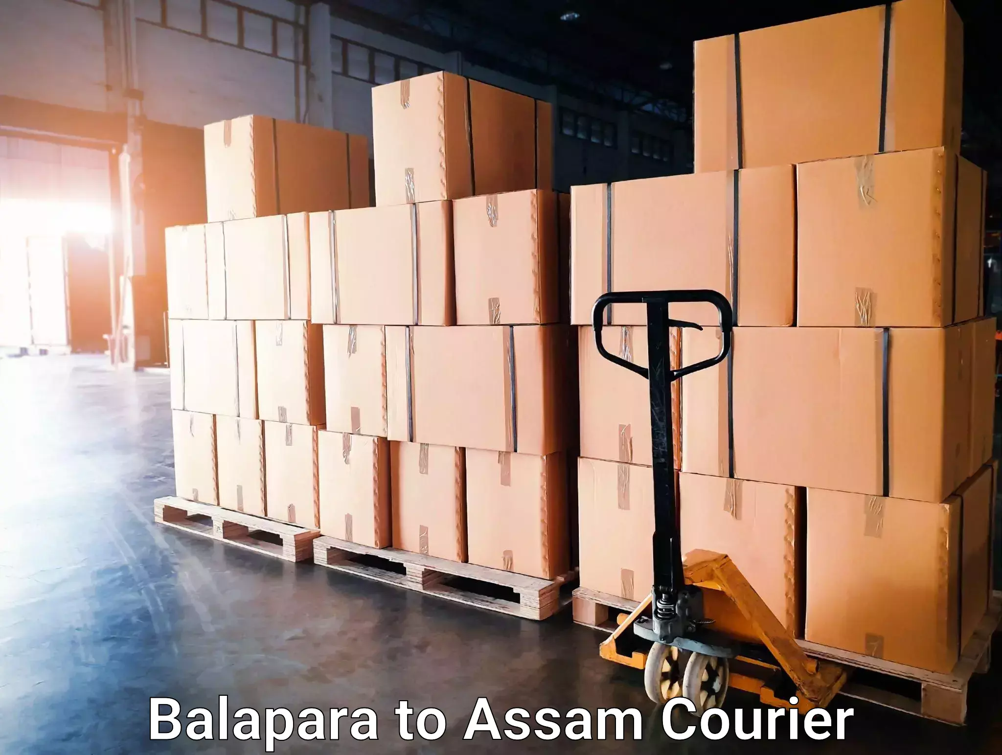 Return courier service in Balapara to Assam
