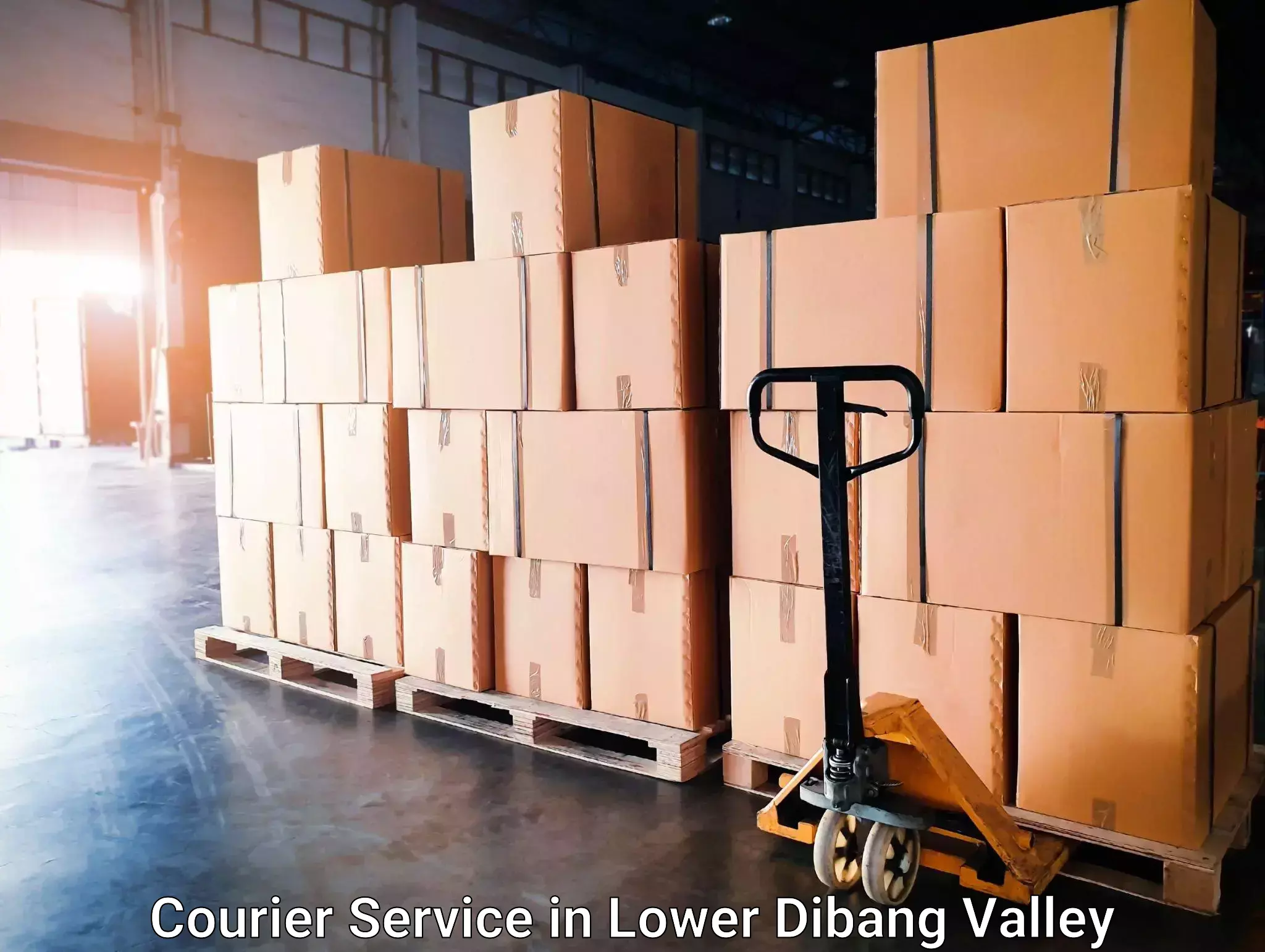 High value parcel delivery in Lower Dibang Valley