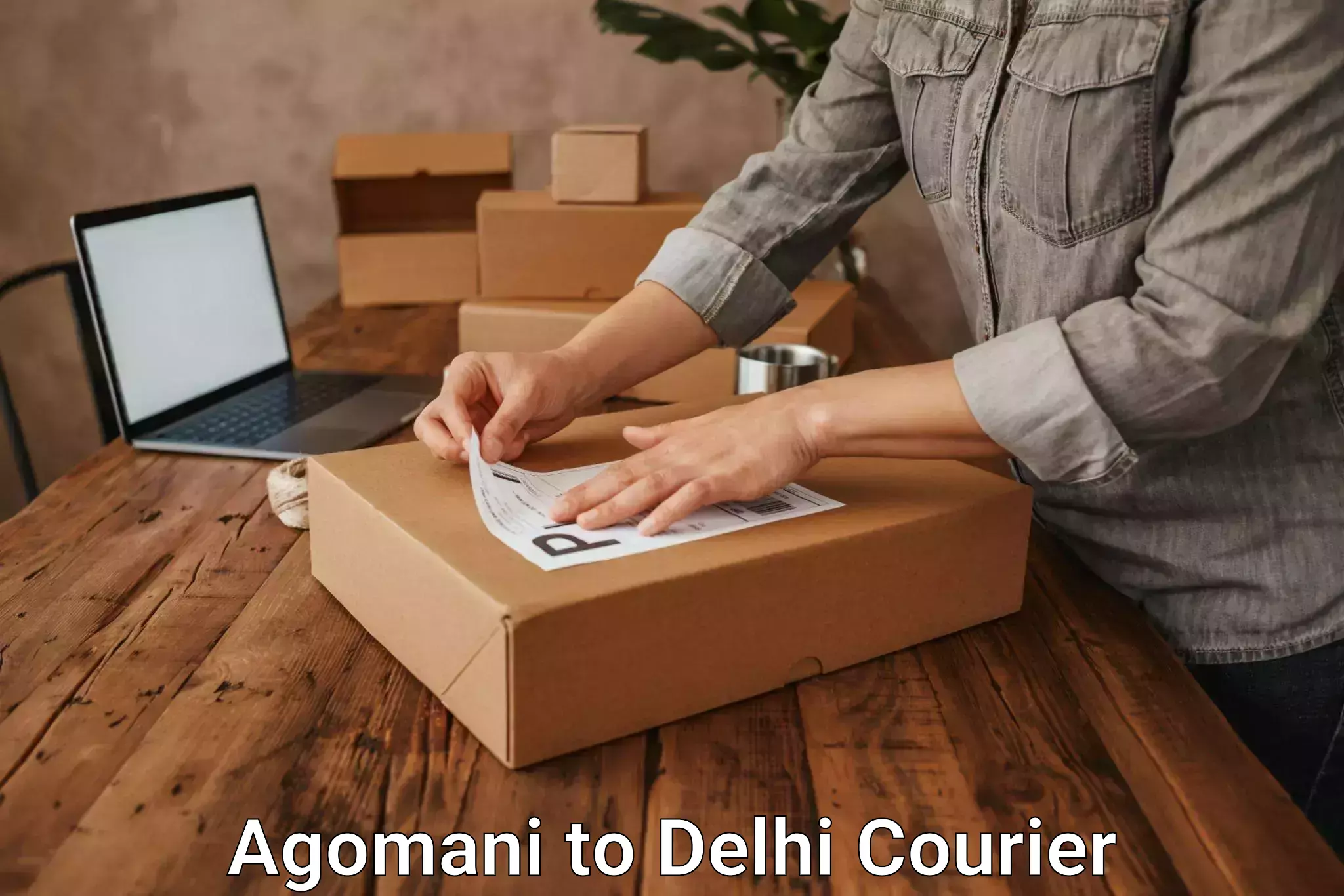 Specialized courier services Agomani to University of Delhi
