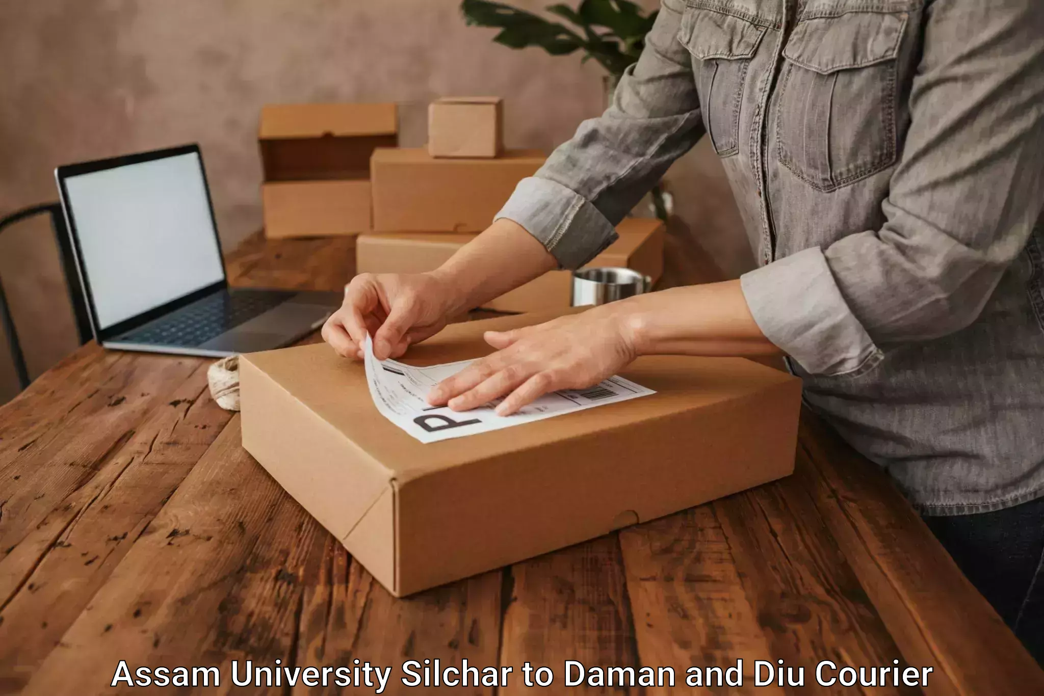 Modern courier technology Assam University Silchar to Diu