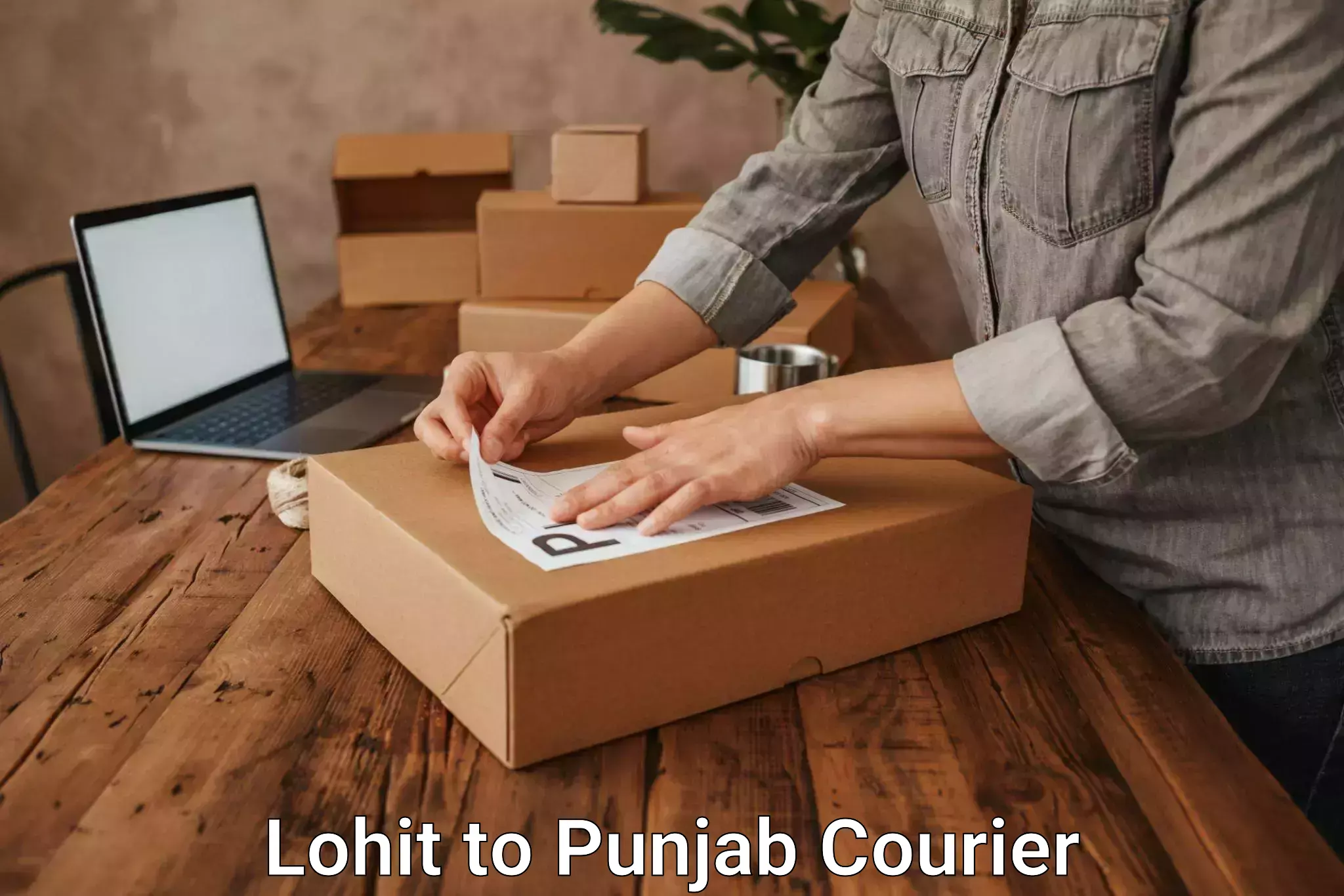 Discount courier rates Lohit to Punjab Agricultural University Ludhiana