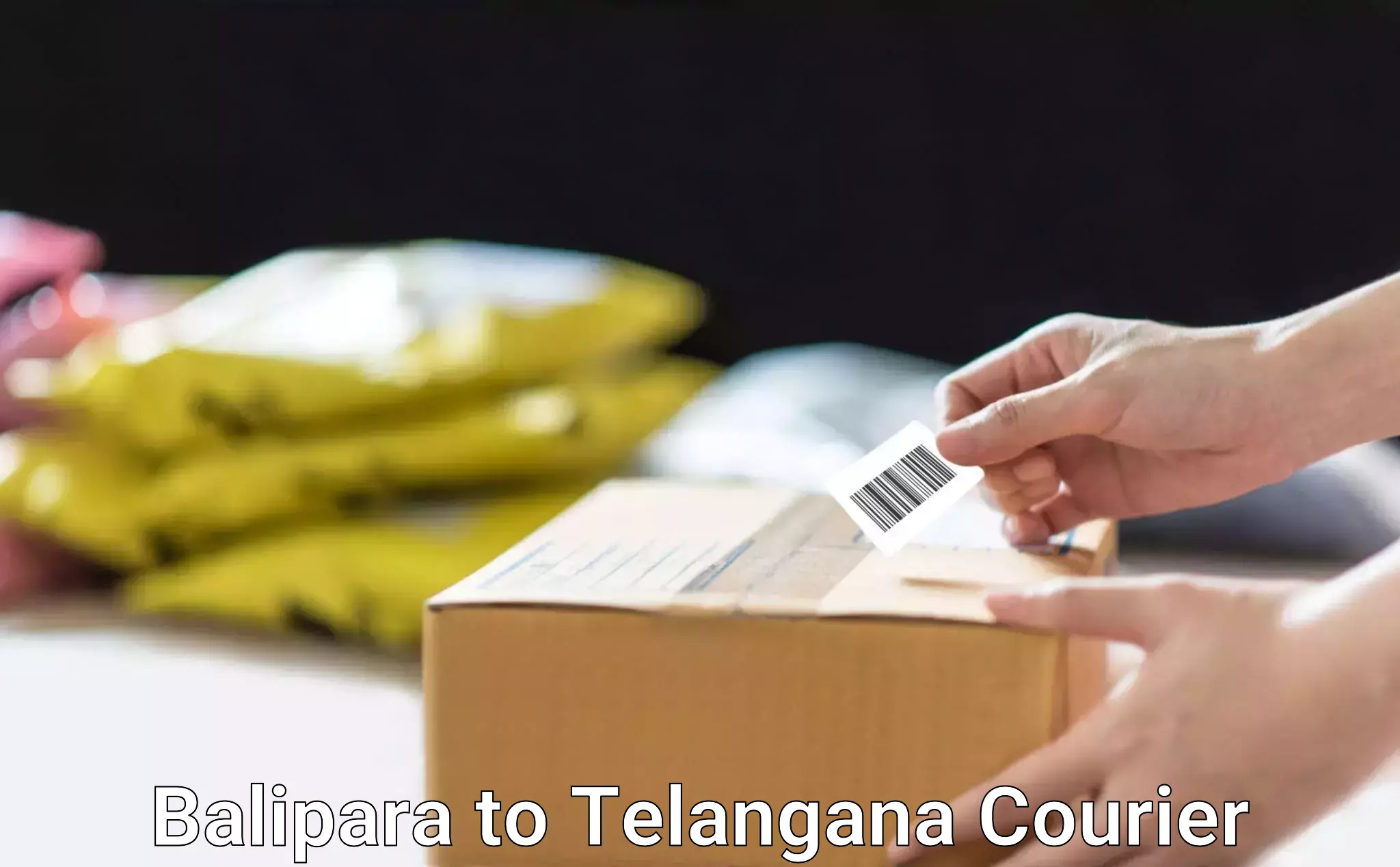 Dynamic courier operations Balipara to Tiryani