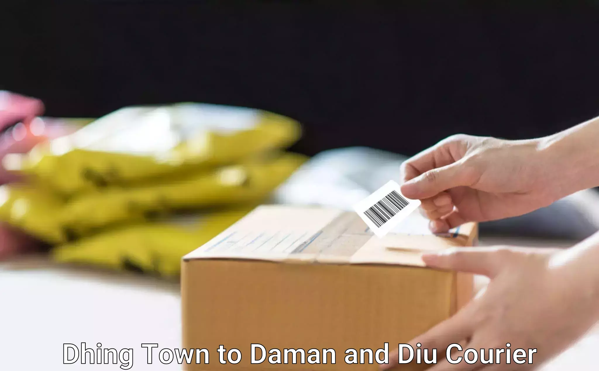 Customer-focused courier Dhing Town to Diu