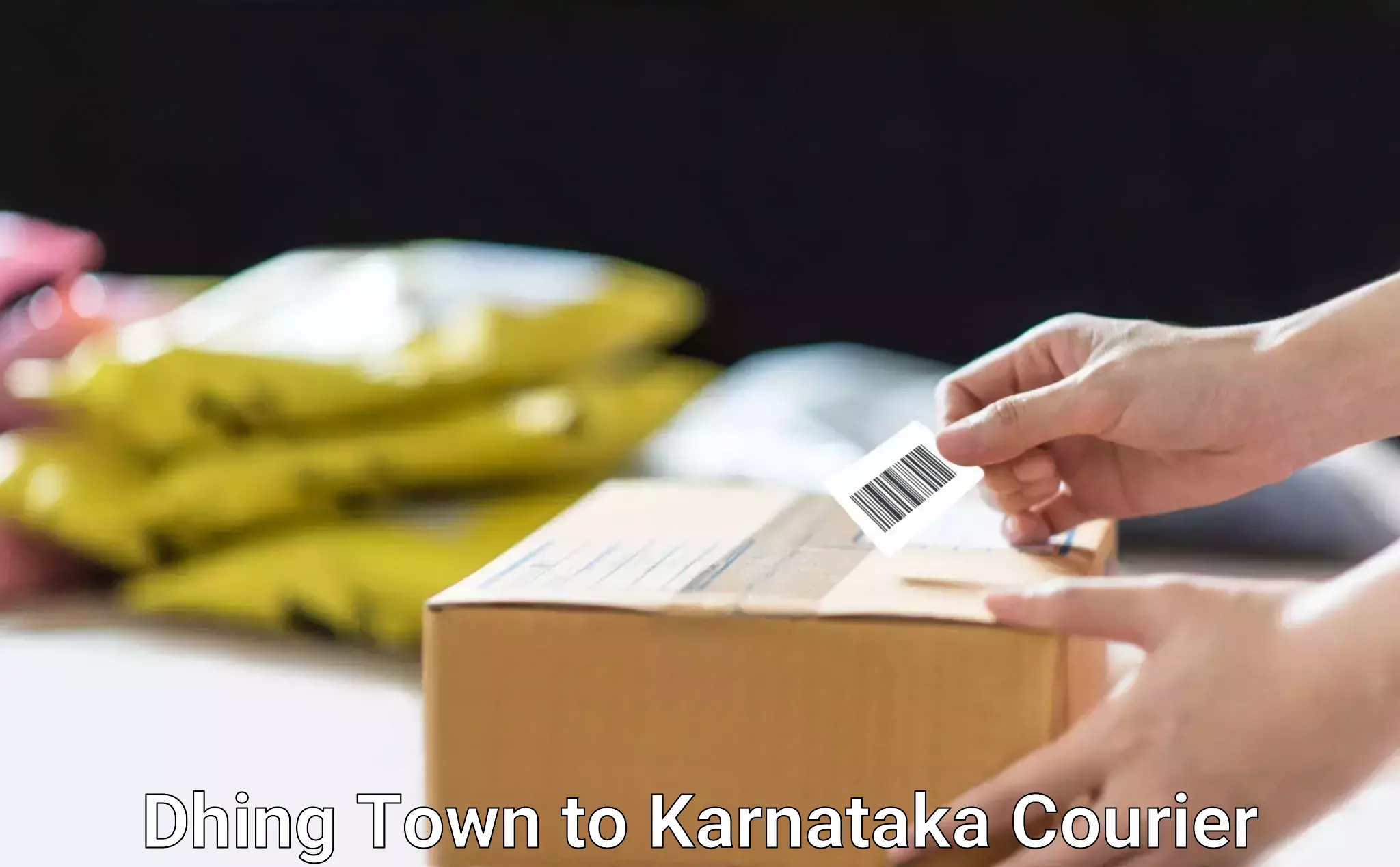 Automated parcel services Dhing Town to Haveri