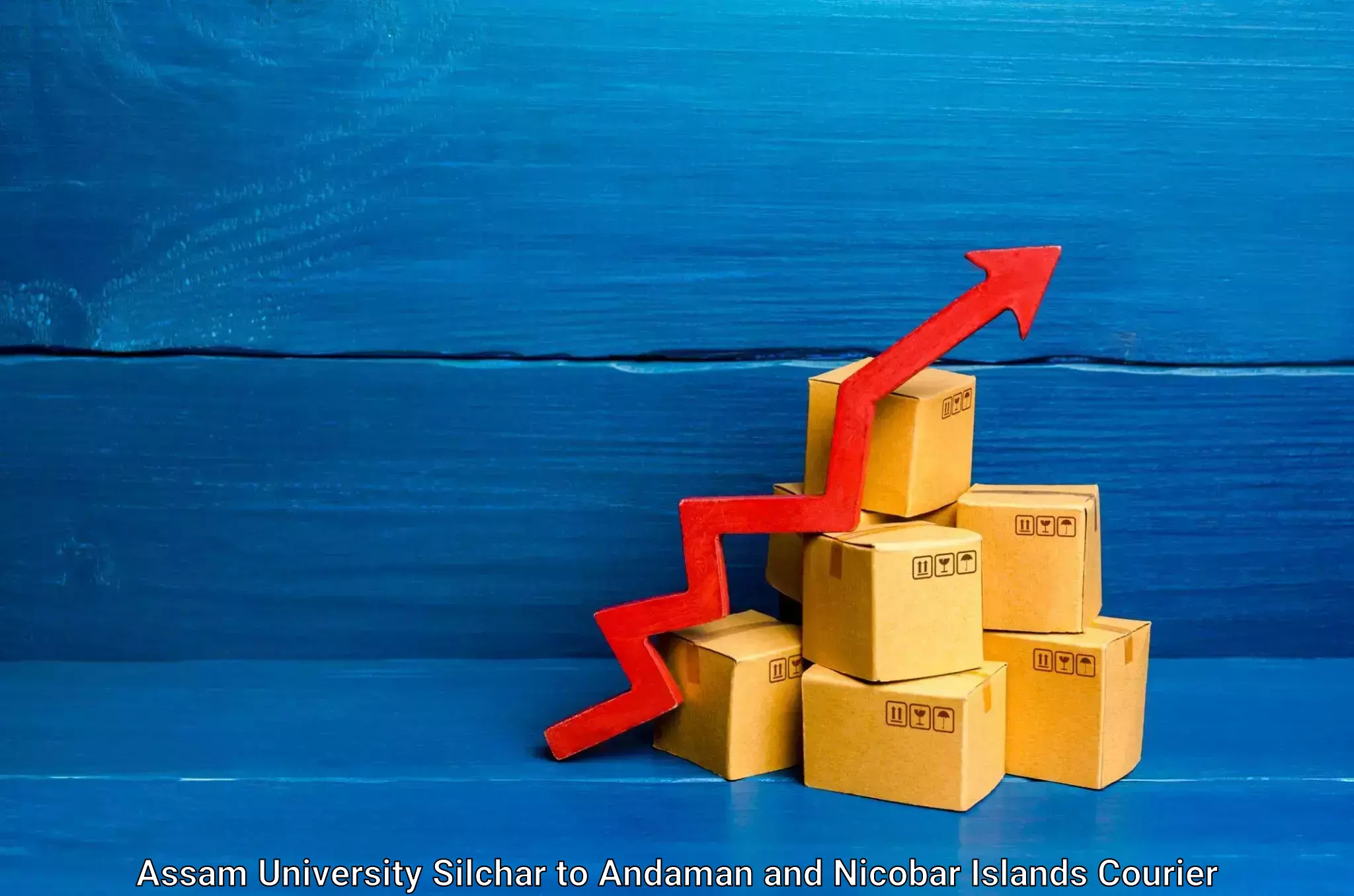 Reliable parcel services Assam University Silchar to South Andaman