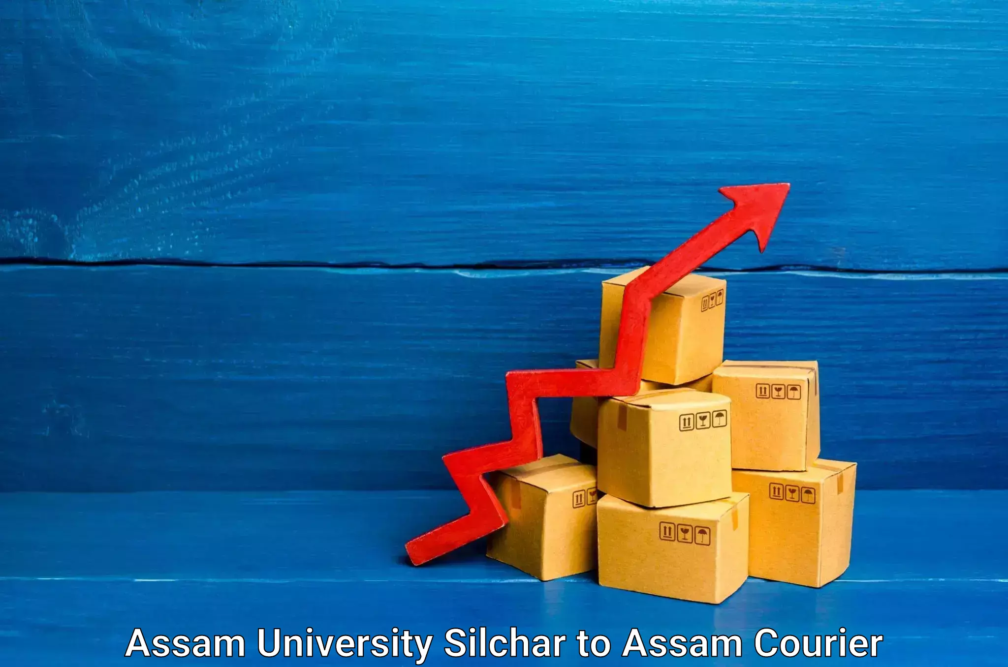 Return courier service Assam University Silchar to IIT Guwahati