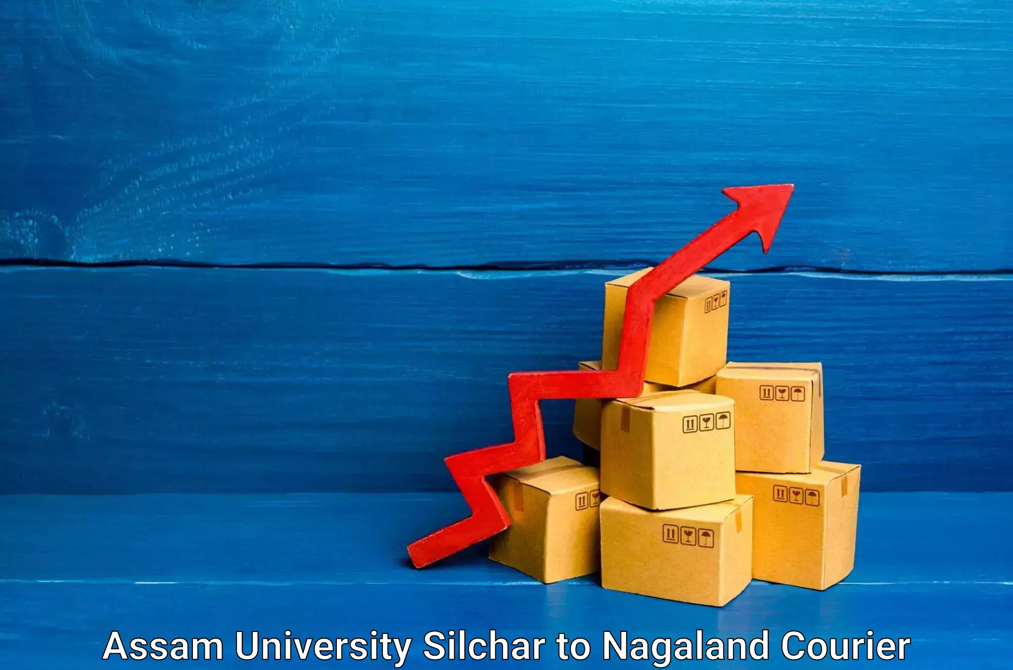 Optimized delivery routes Assam University Silchar to Wokha