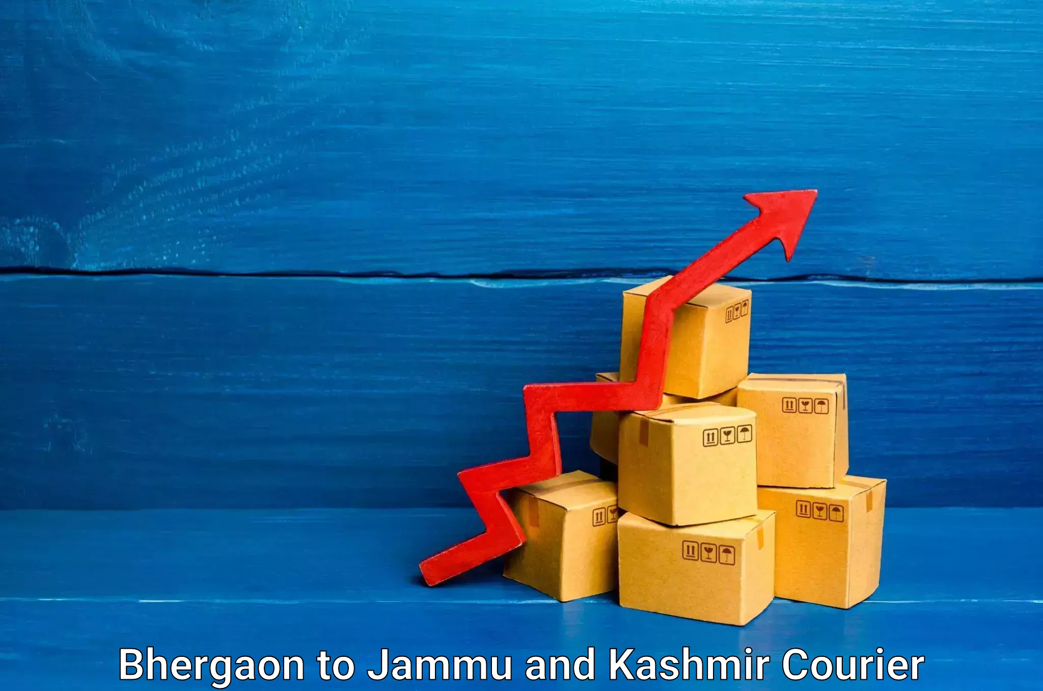 Parcel handling and care Bhergaon to Jammu and Kashmir