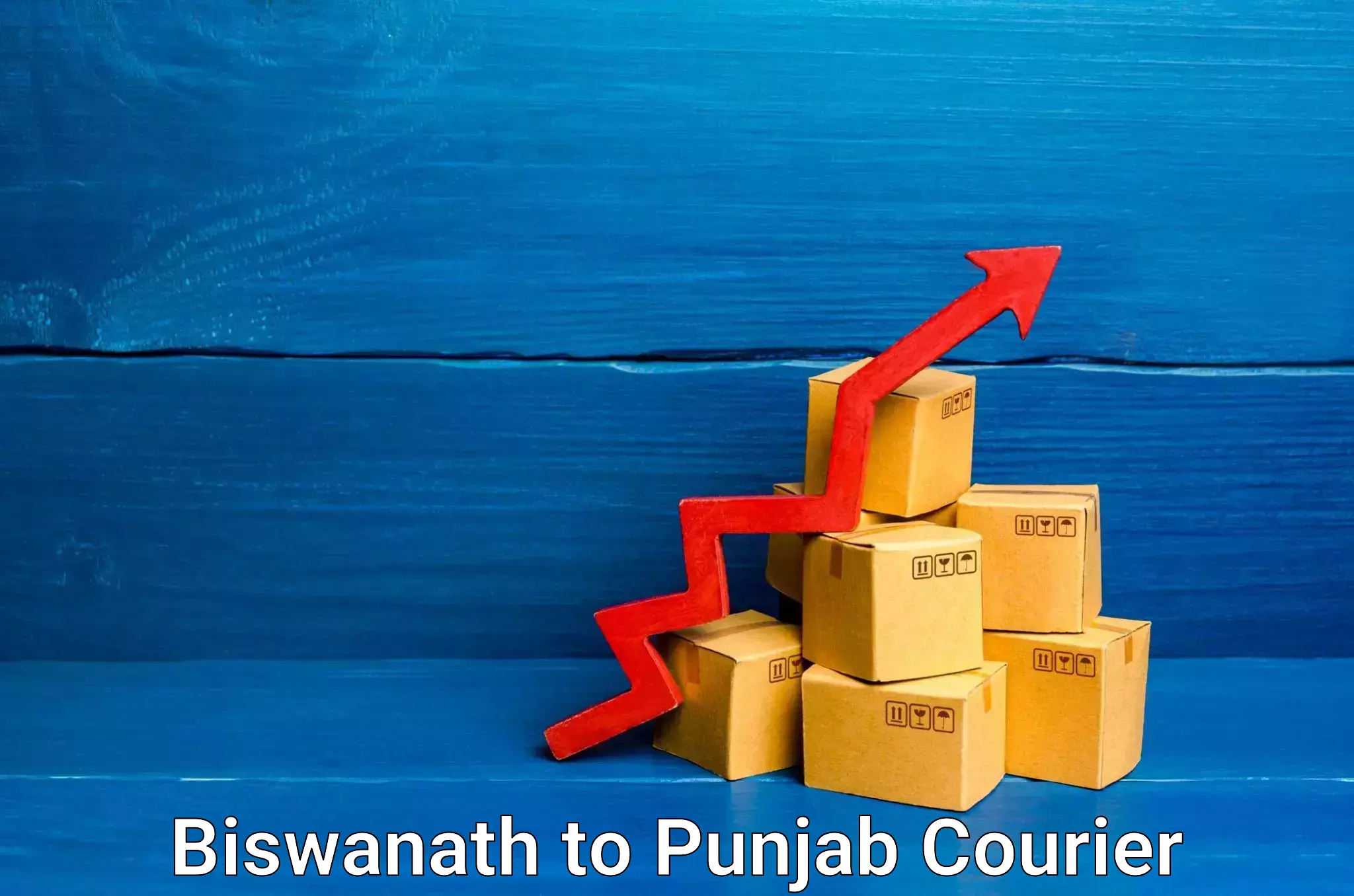 Courier service innovation in Biswanath to Bagha Purana