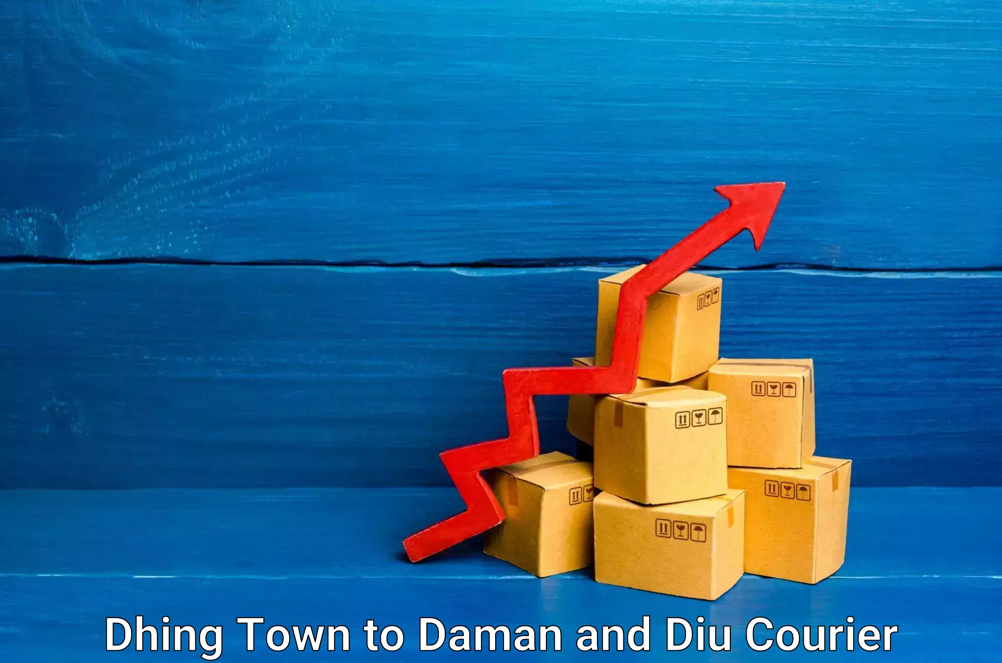 High-speed parcel service Dhing Town to Daman and Diu