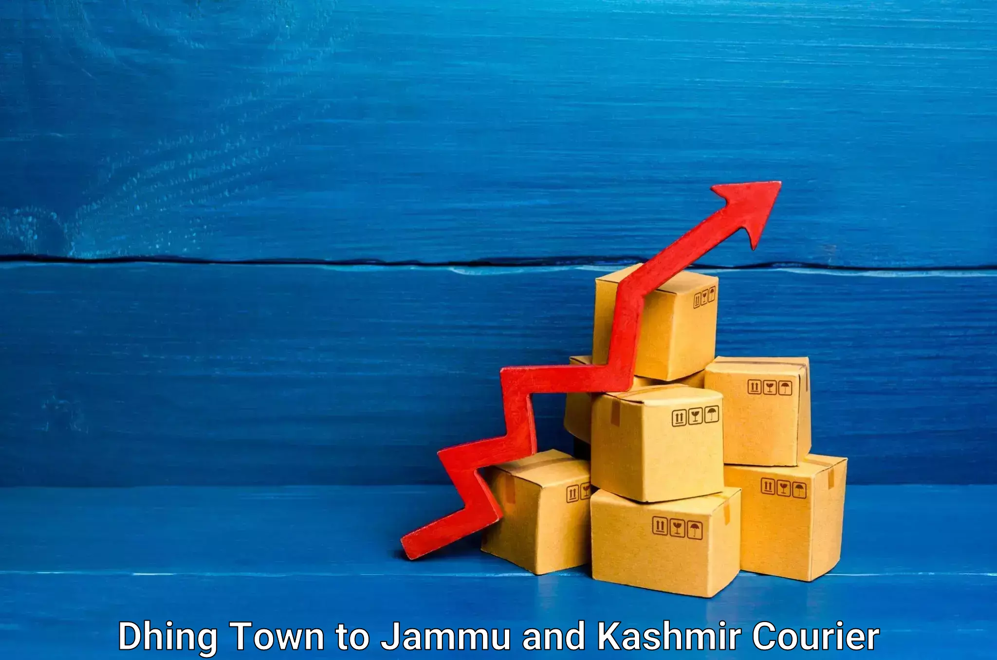 Cargo courier service Dhing Town to University of Jammu