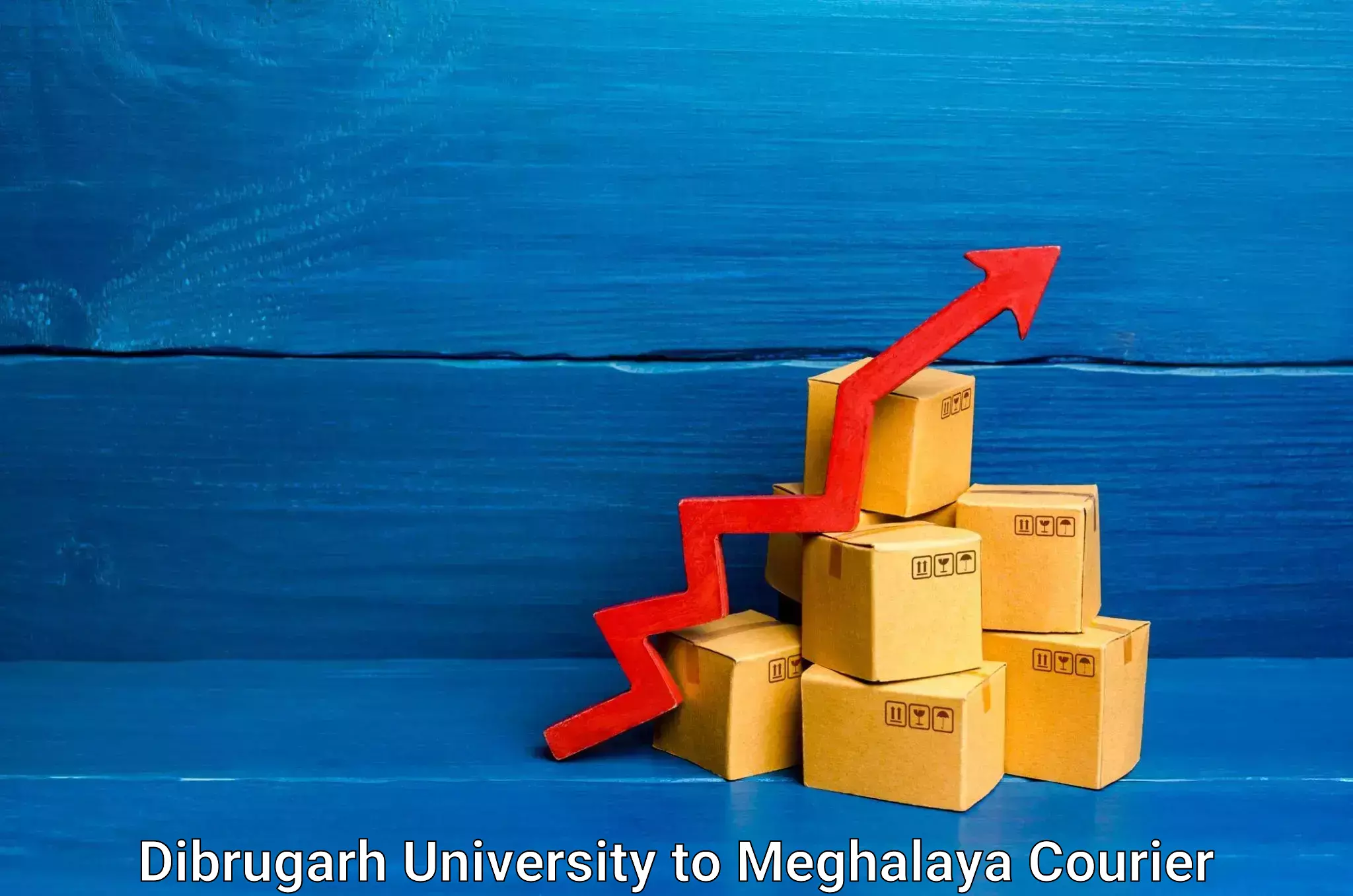 Reliable package handling Dibrugarh University to East Garo Hills