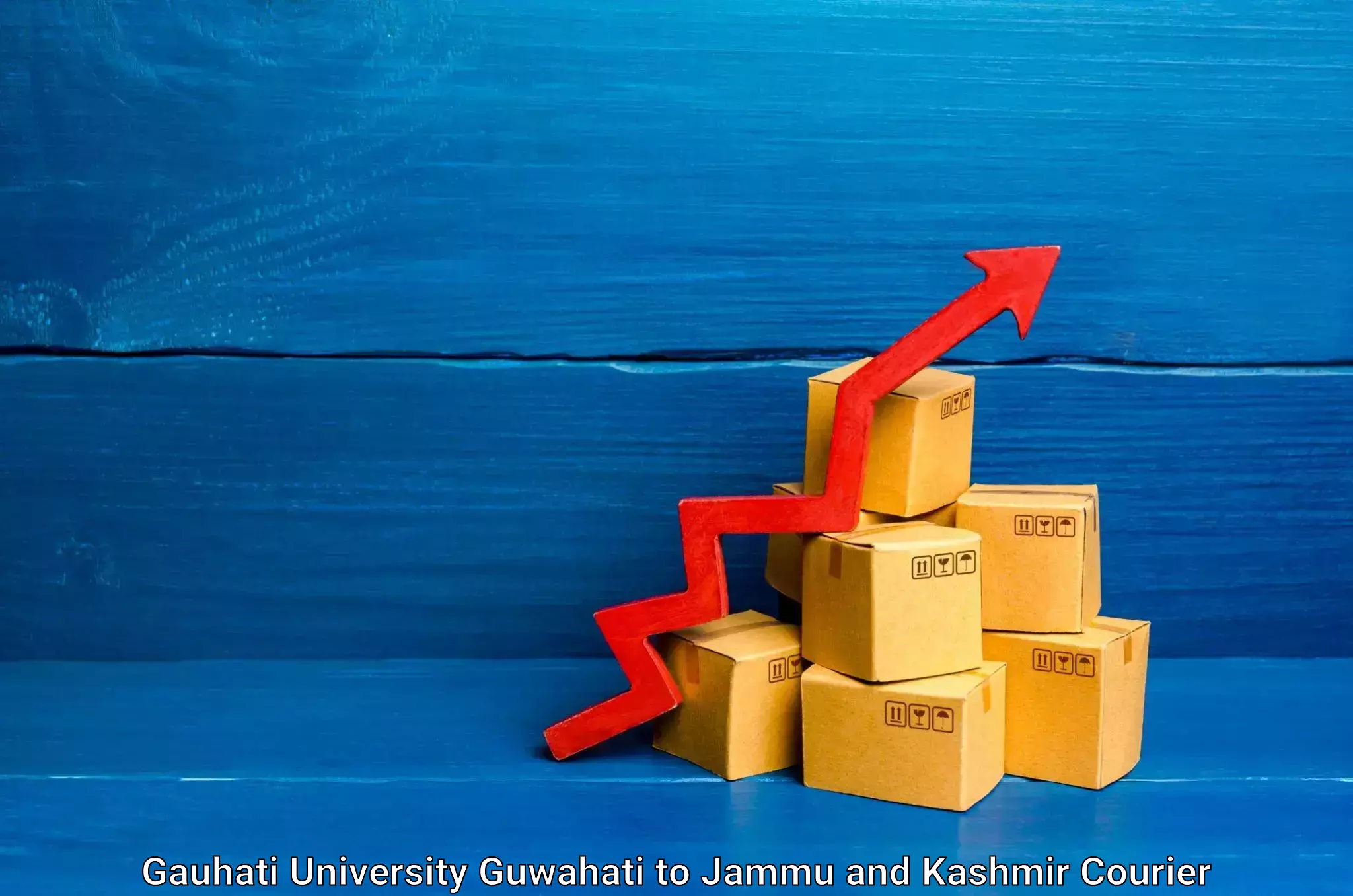 Reliable package handling Gauhati University Guwahati to Anantnag