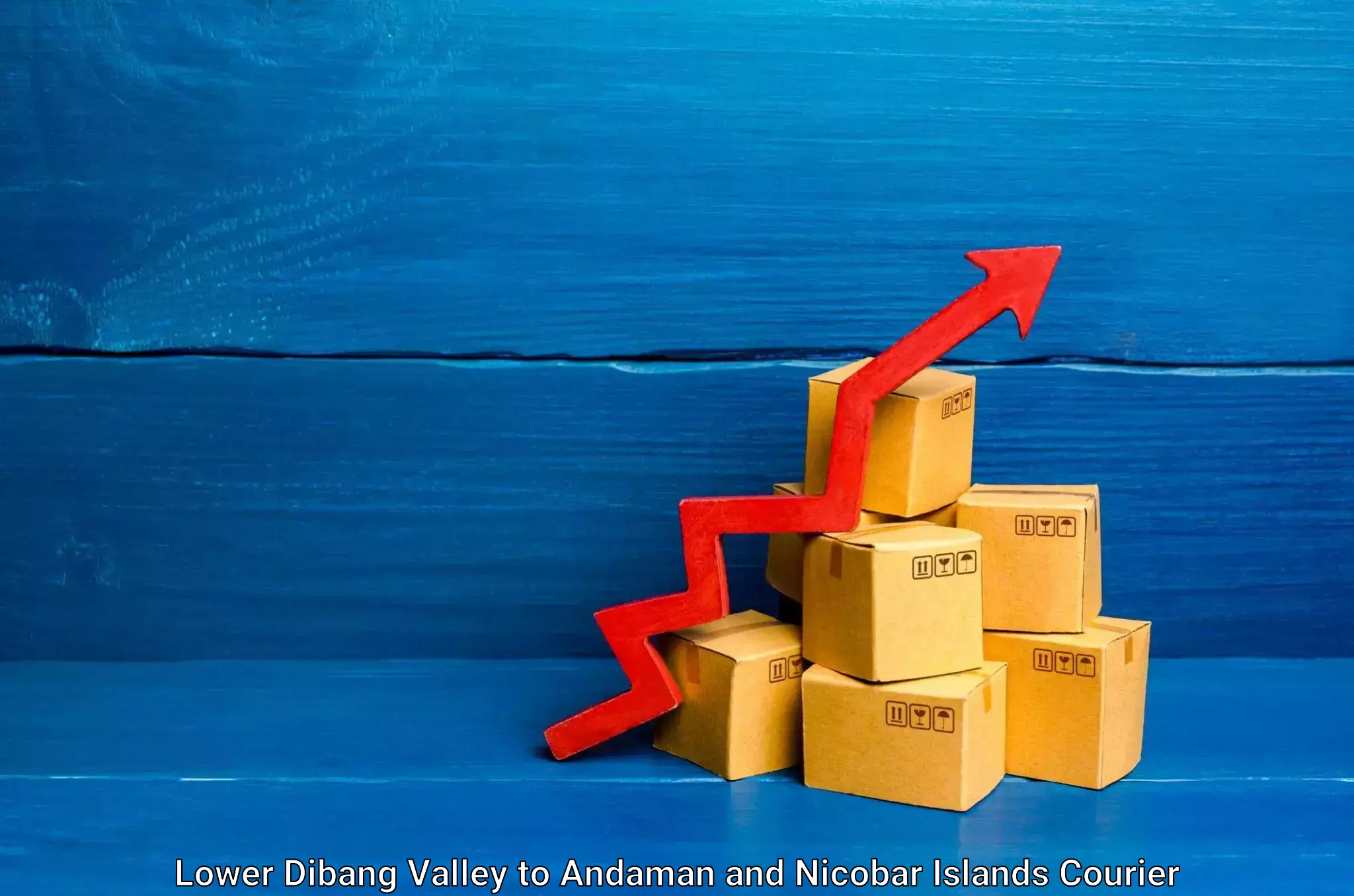 Bulk shipment Lower Dibang Valley to Andaman and Nicobar Islands