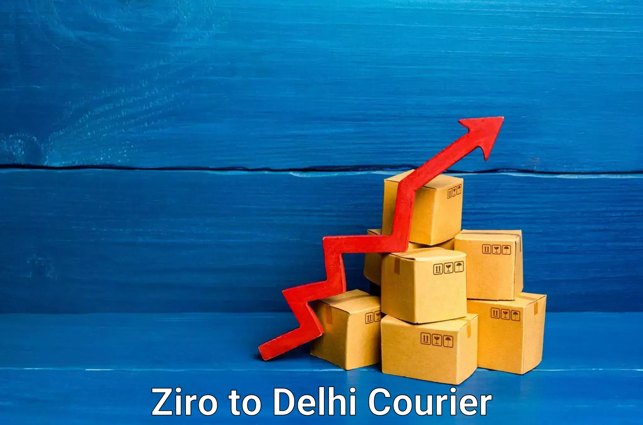 Courier service efficiency Ziro to East Delhi