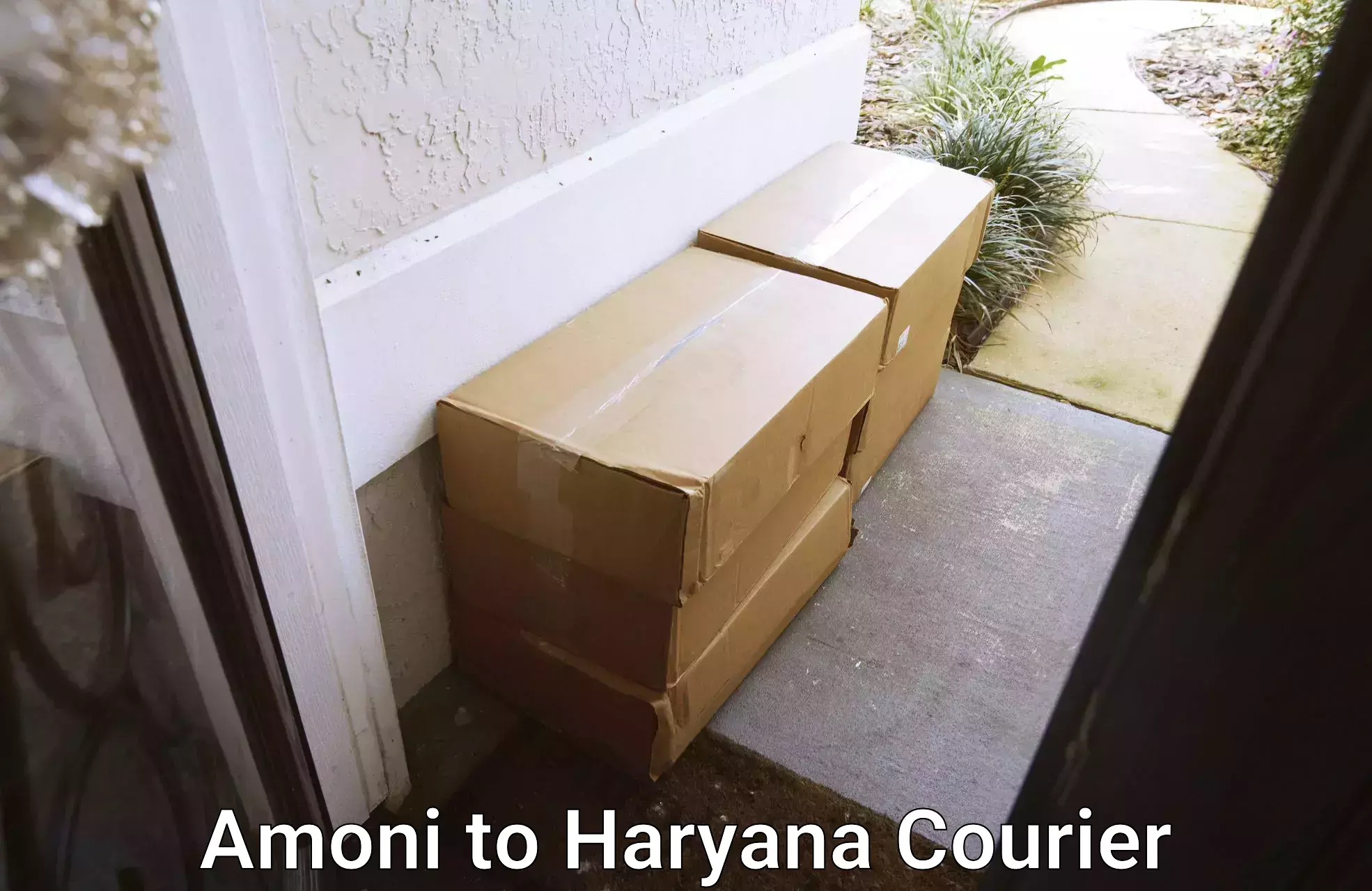 International courier rates Amoni to Haryana