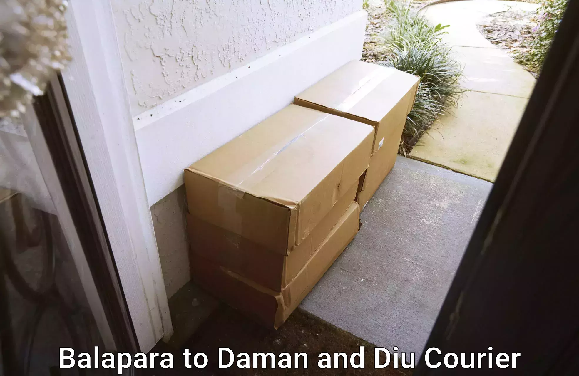 Advanced package delivery in Balapara to Daman and Diu