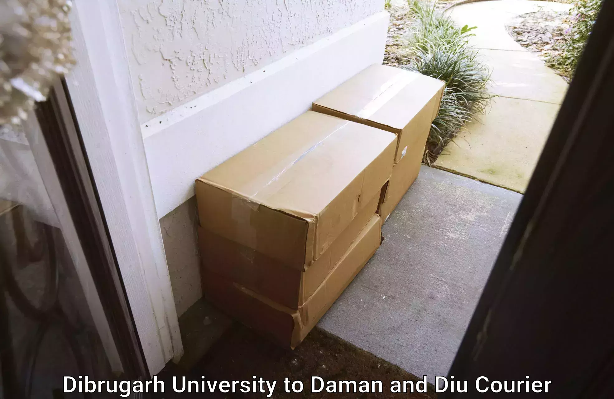 Large package courier Dibrugarh University to Daman and Diu