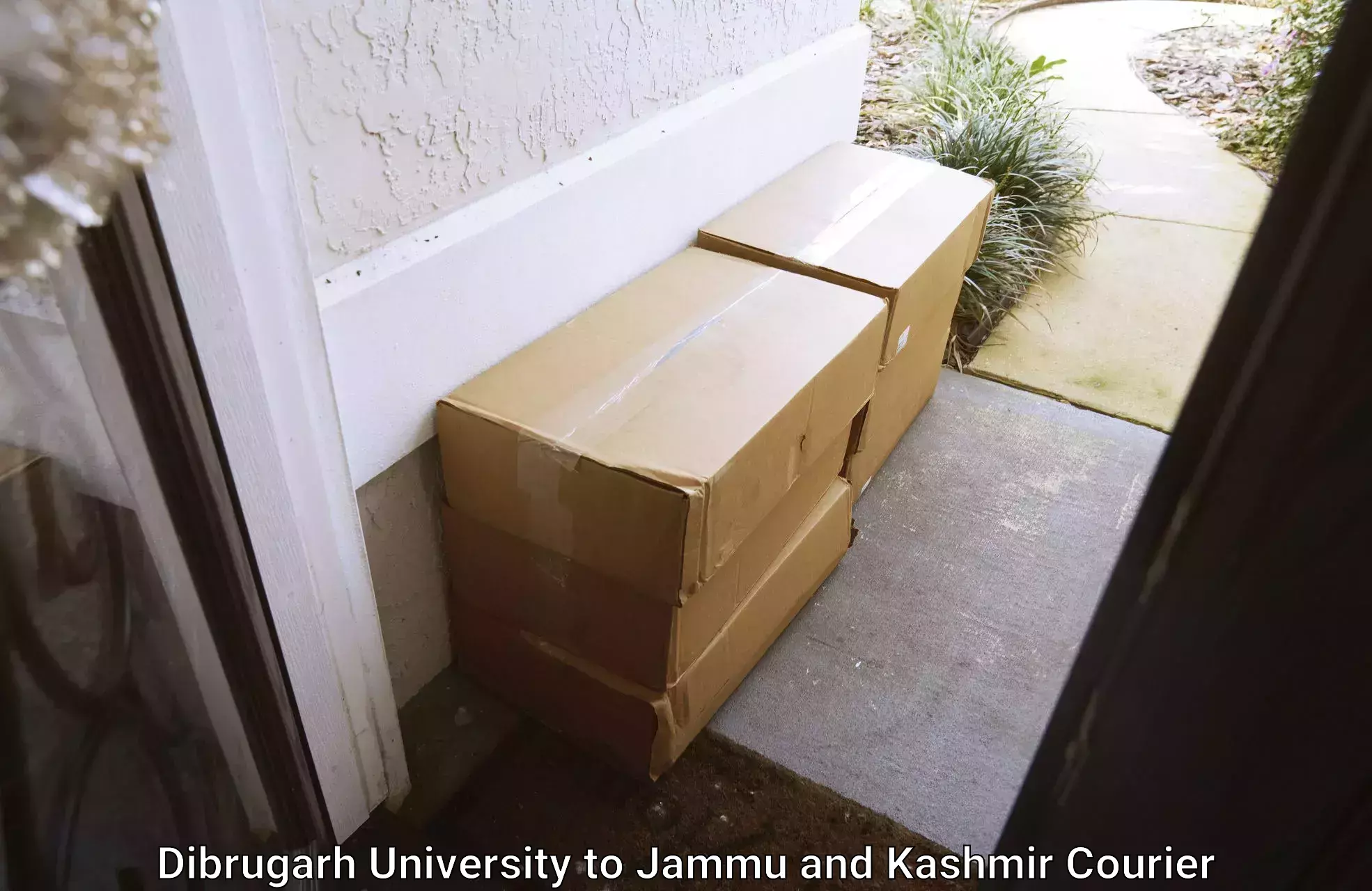 Door to door delivery Dibrugarh University to University of Kashmir Srinagar