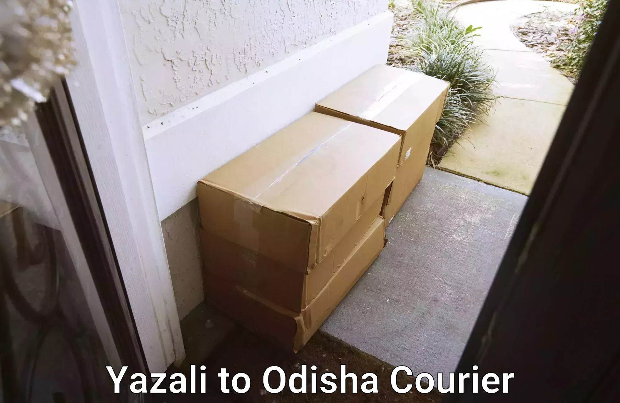 Air courier services in Yazali to Odisha