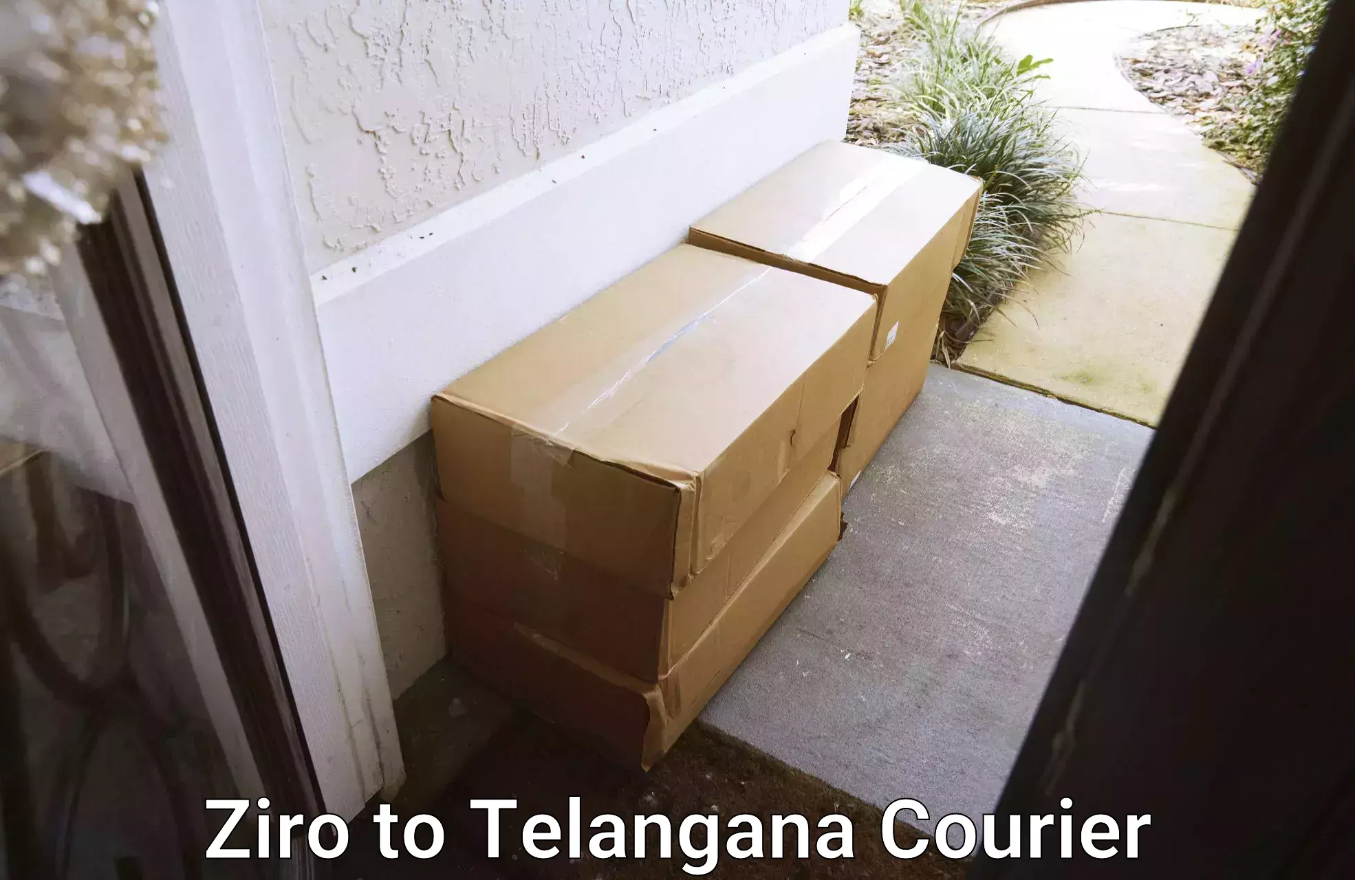 Ocean freight courier Ziro to Telangana