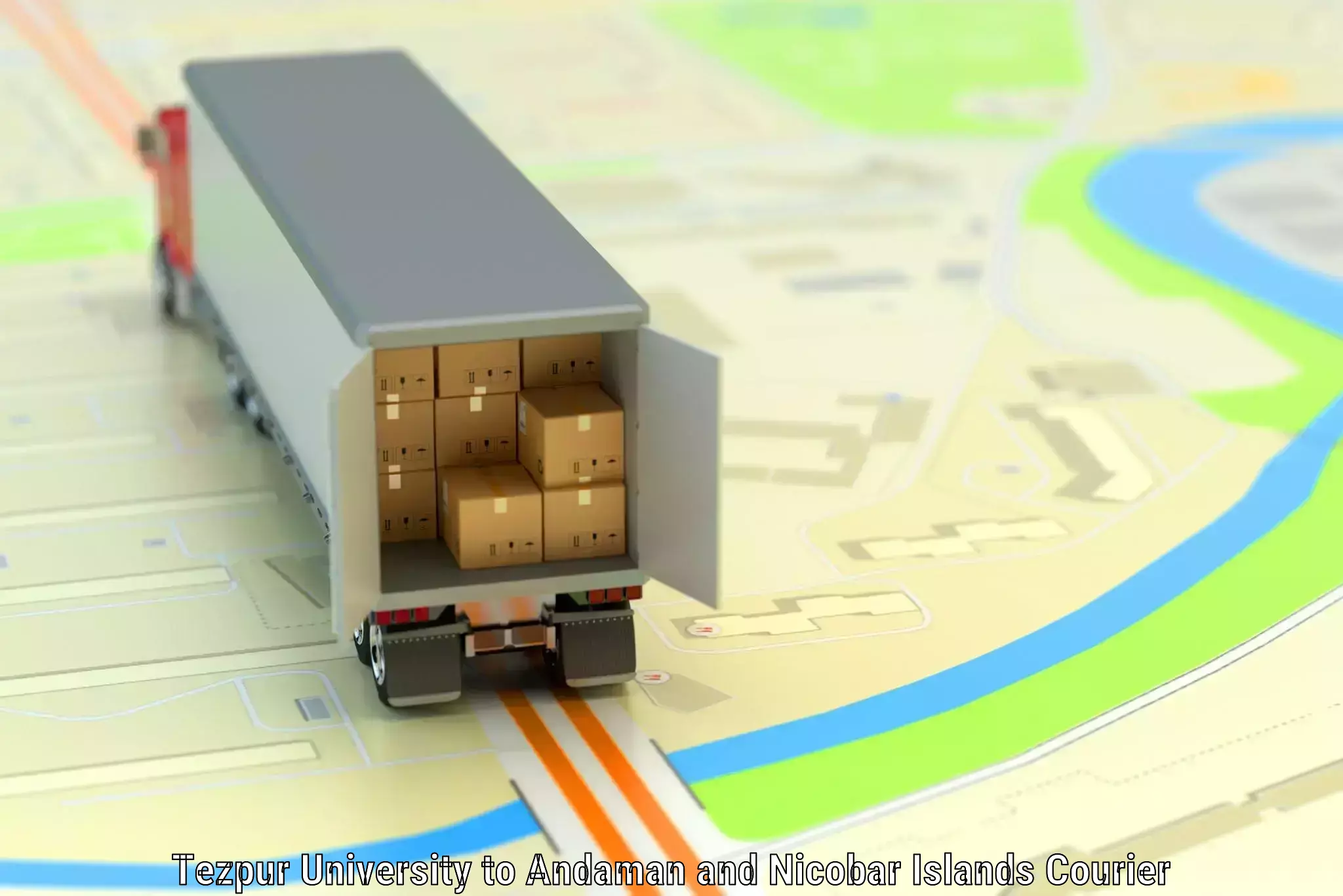 Smart baggage shipping Tezpur University to Nicobar