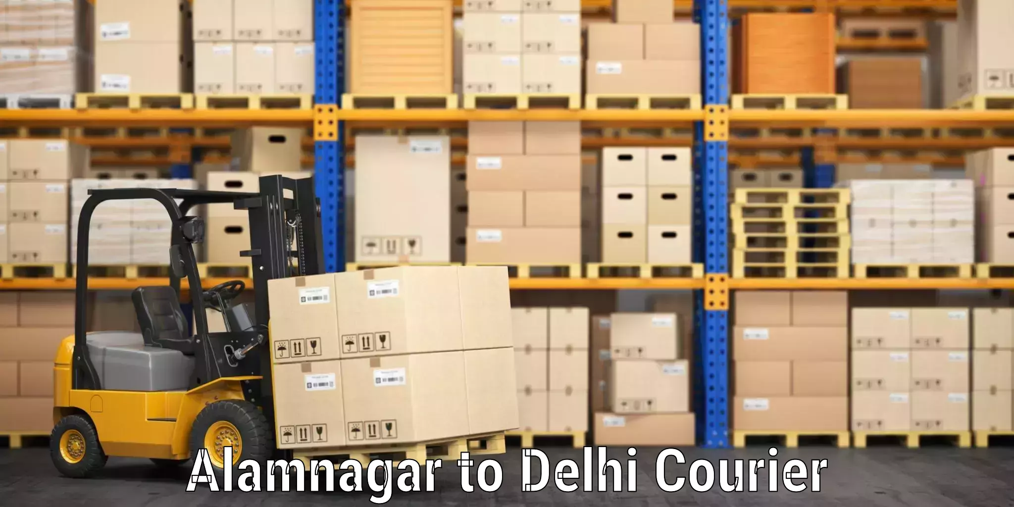 Train station baggage courier Alamnagar to Naraina Industrial Estate