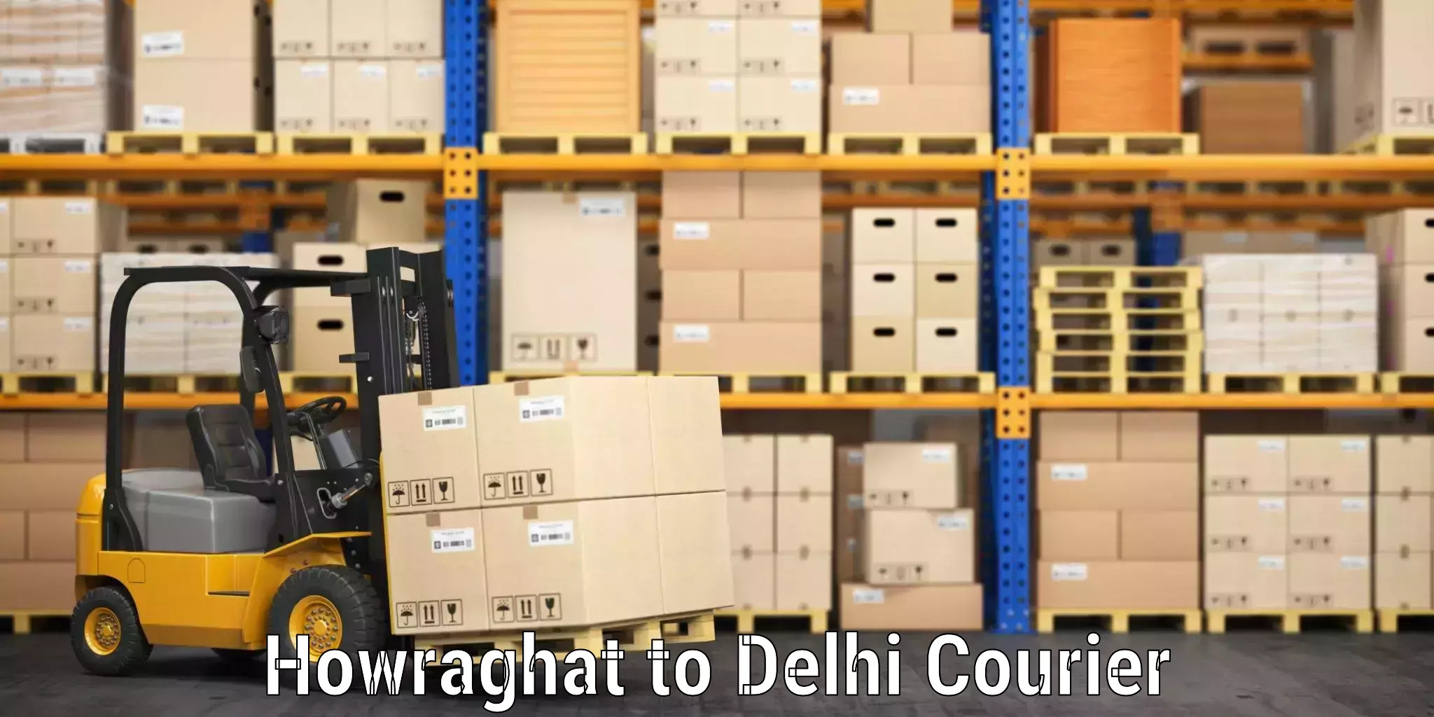 Efficient baggage courier system Howraghat to Delhi