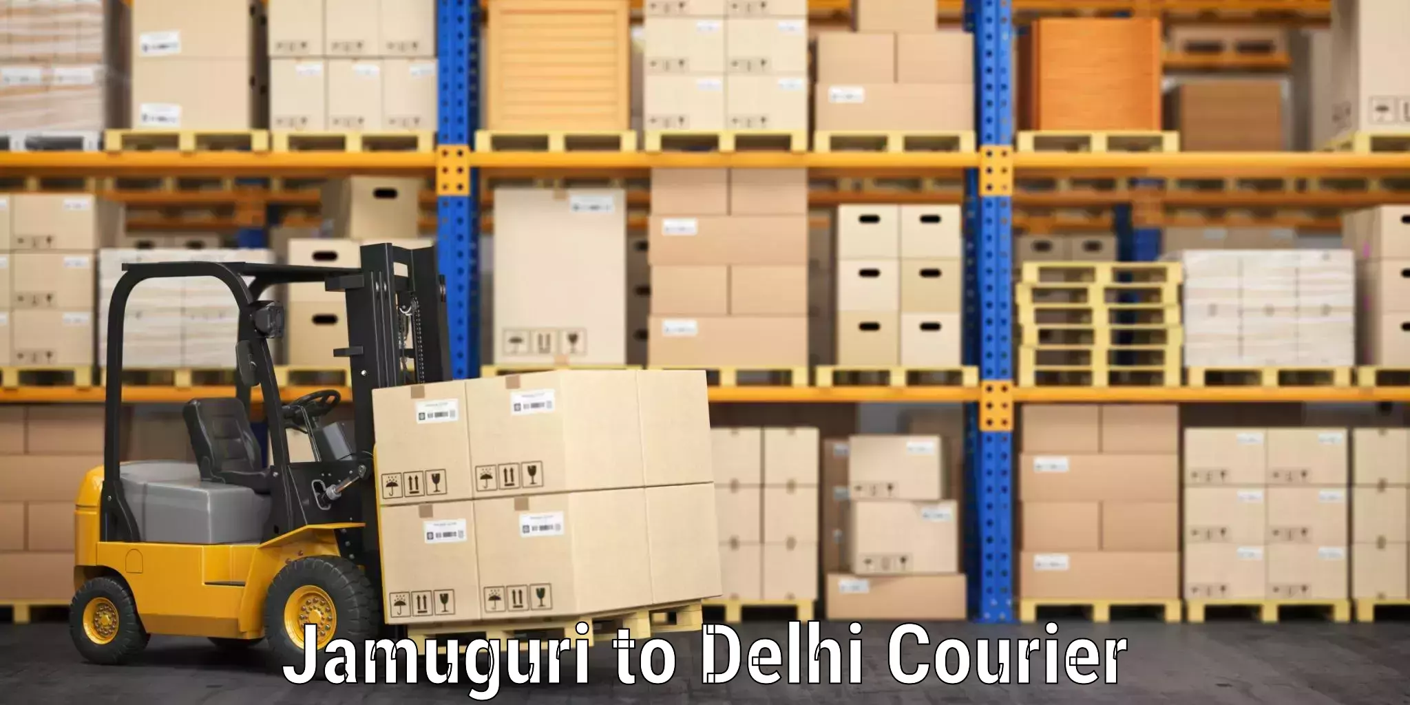 Baggage courier strategy Jamuguri to Jamia Millia Islamia New Delhi