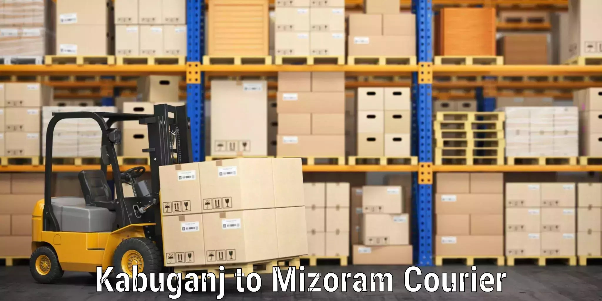 Luggage shipping service in Kabuganj to Mizoram