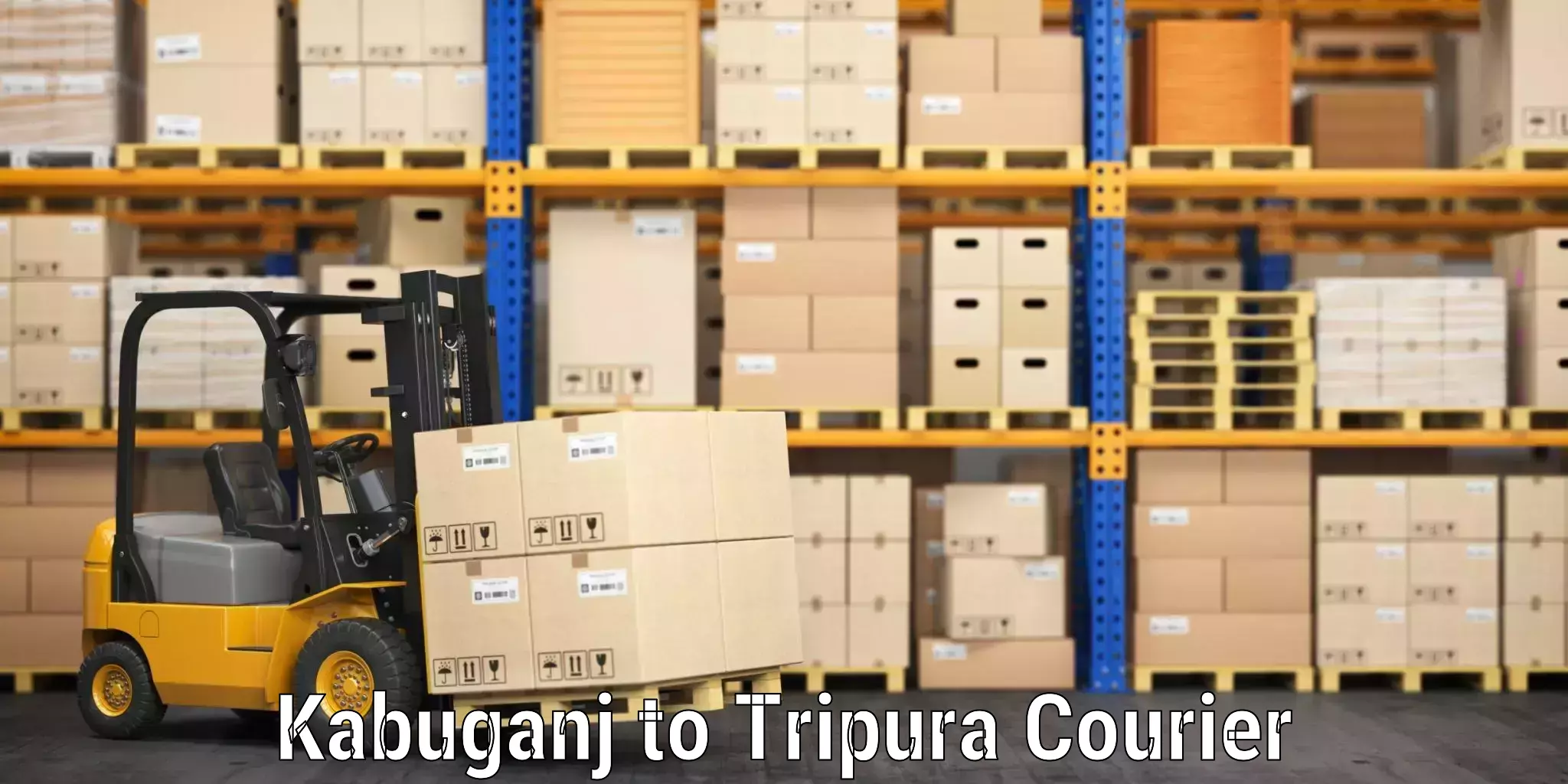 Baggage shipping calculator Kabuganj to Tripura