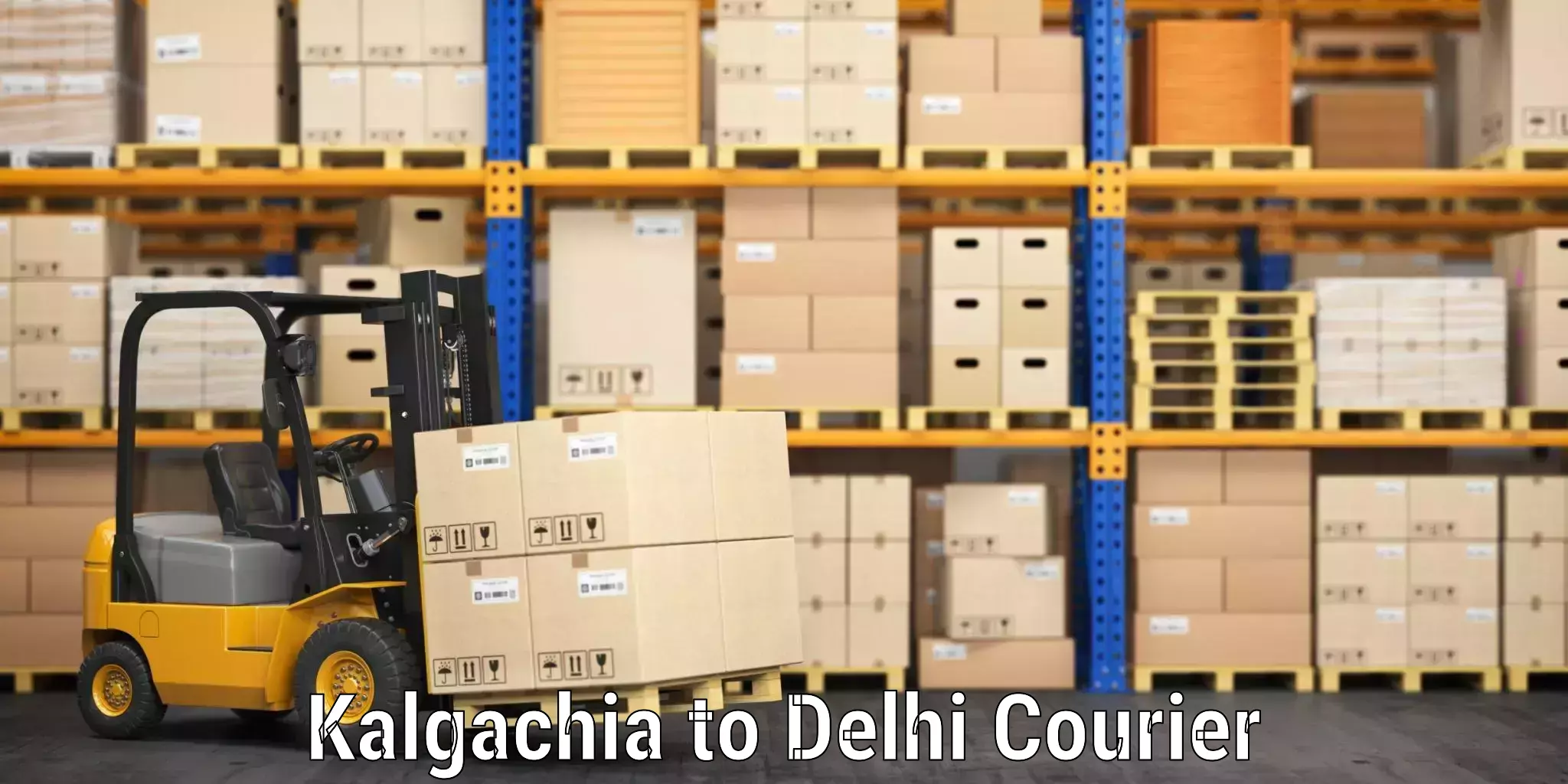 Luggage delivery news Kalgachia to NCR