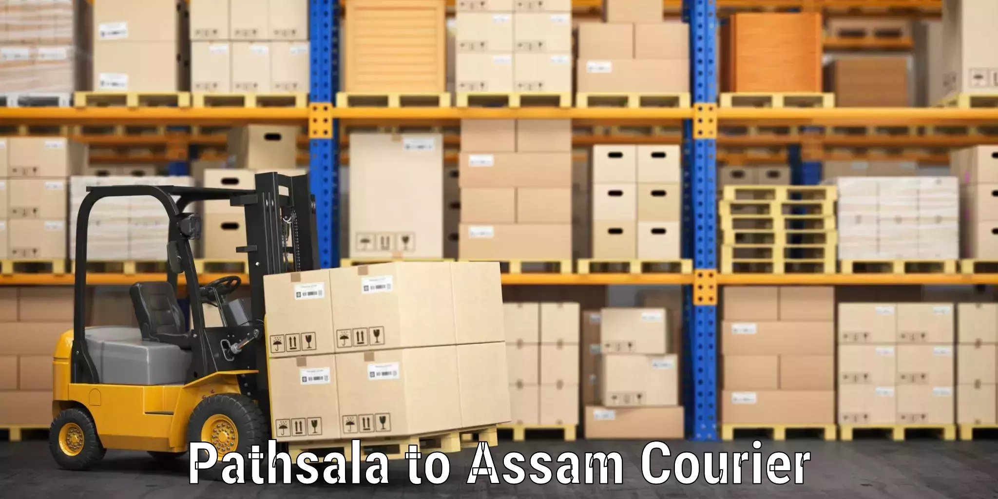 Luggage shipping logistics Pathsala to Agomani