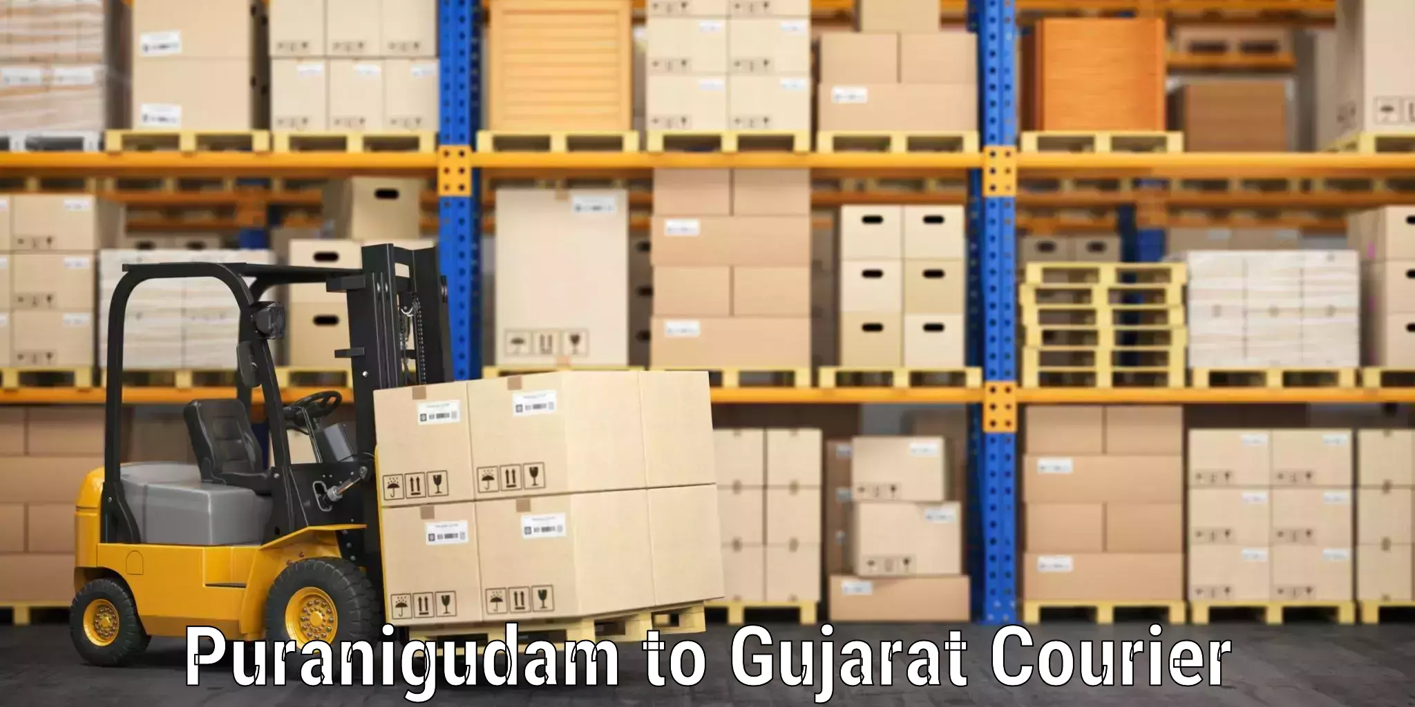 Quick luggage shipment Puranigudam to Palitana