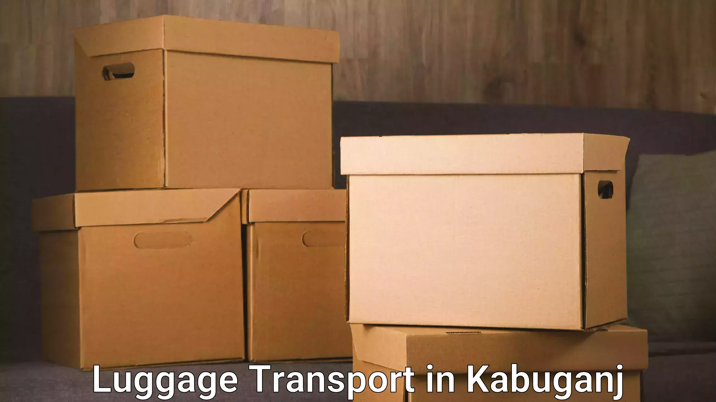 Luggage shipment logistics in Kabuganj