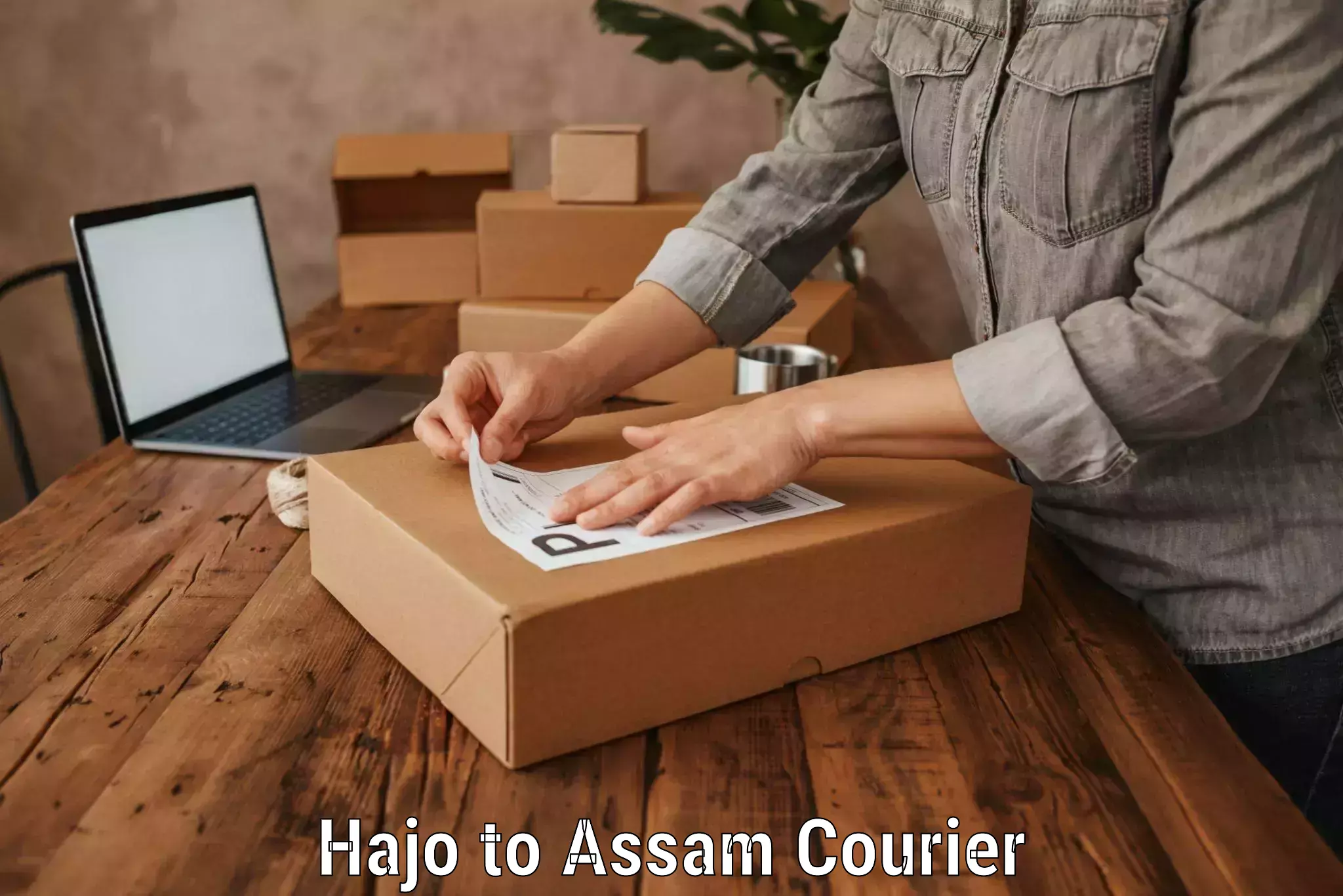 Comprehensive baggage courier Hajo to Narayanpur Lakhimpur