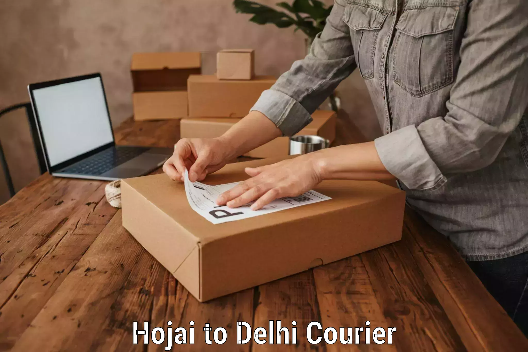 Overnight luggage courier Hojai to Sansad Marg